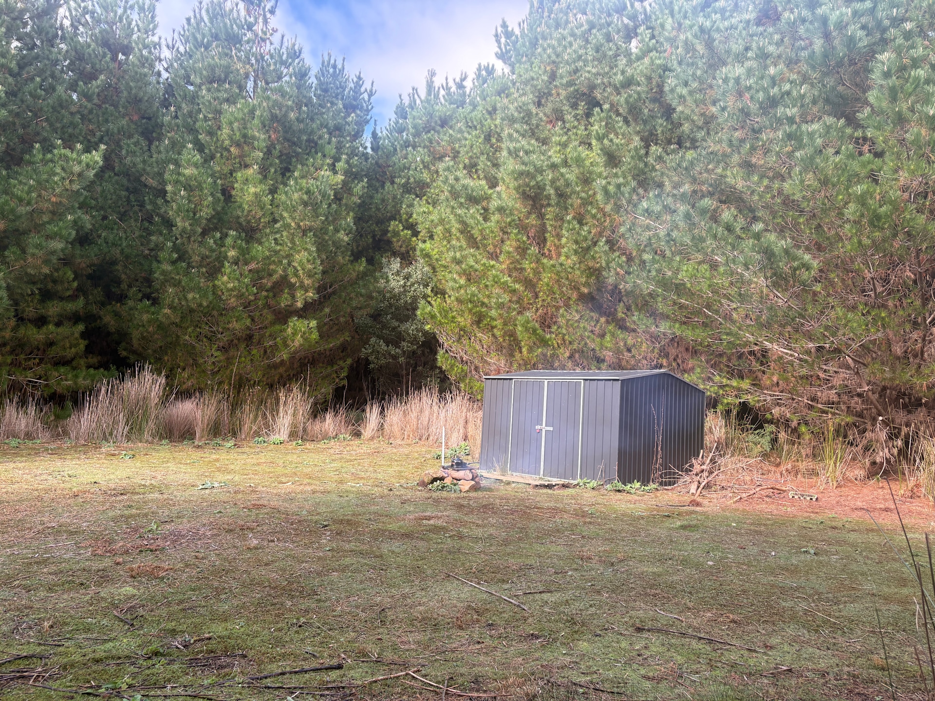 🌿 Wild Pine Haven – Private Forest