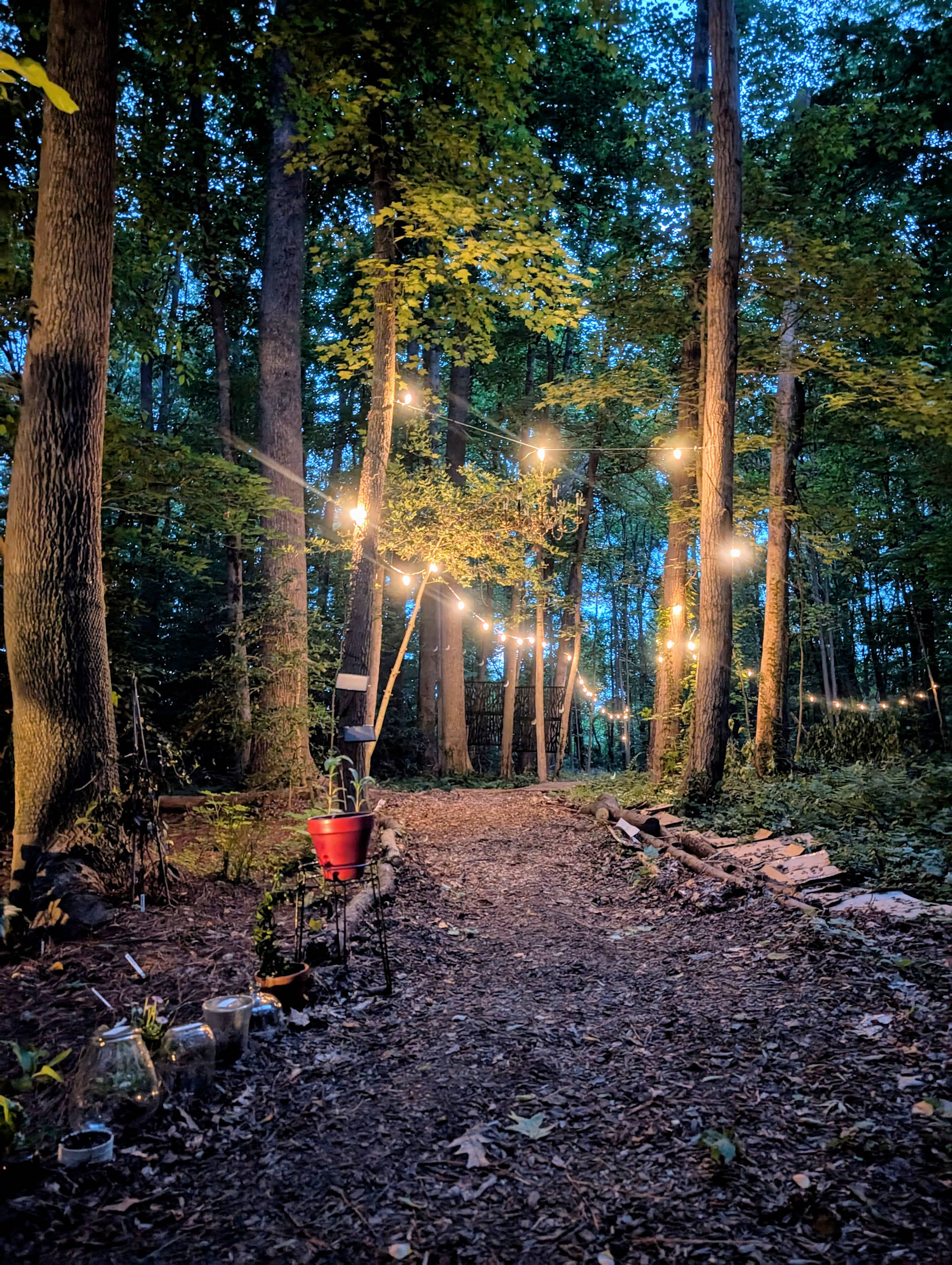 Moonspell Garden