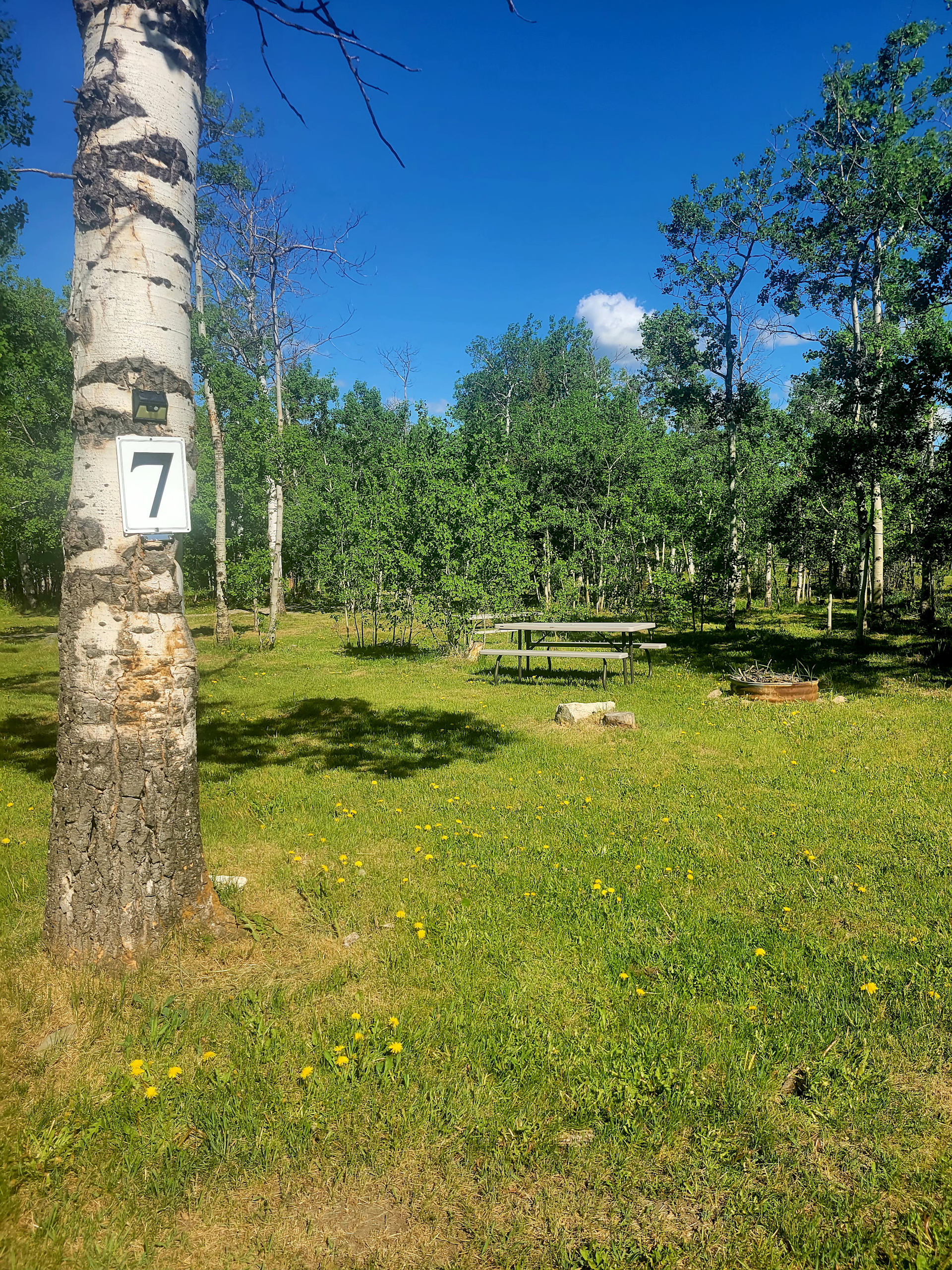 Duck Lake Lodge & Campground