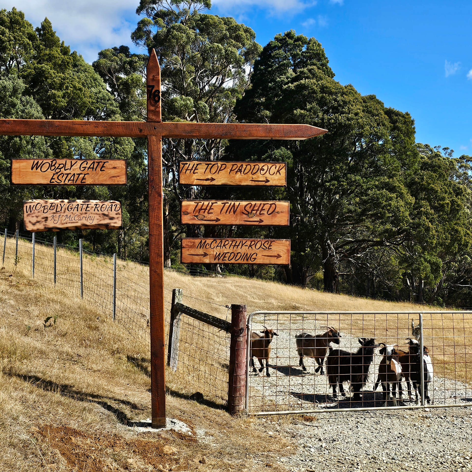 The Top Paddock