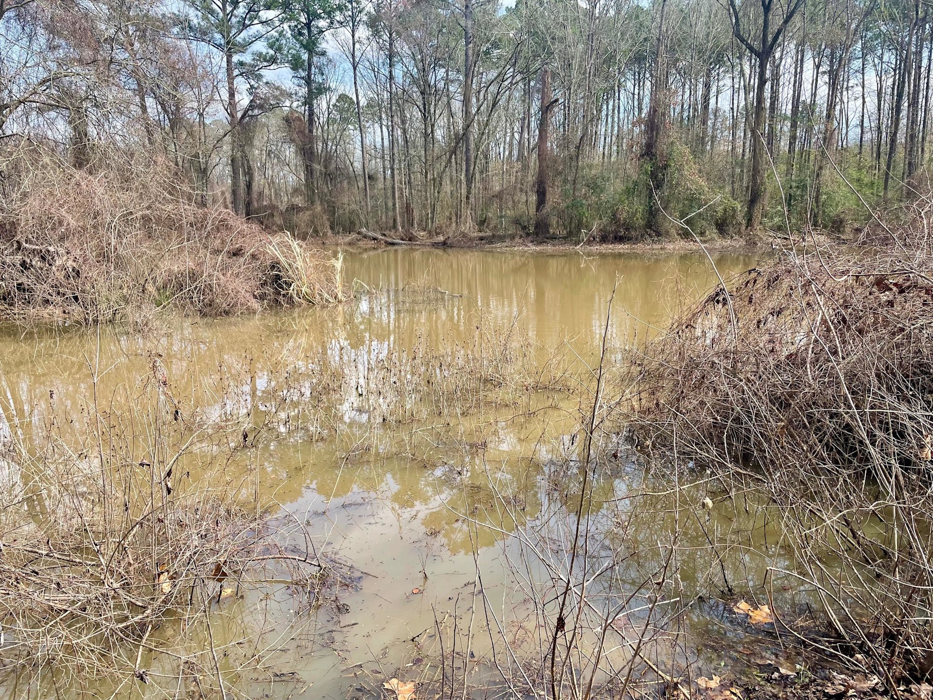 Toledo Bend Retreat