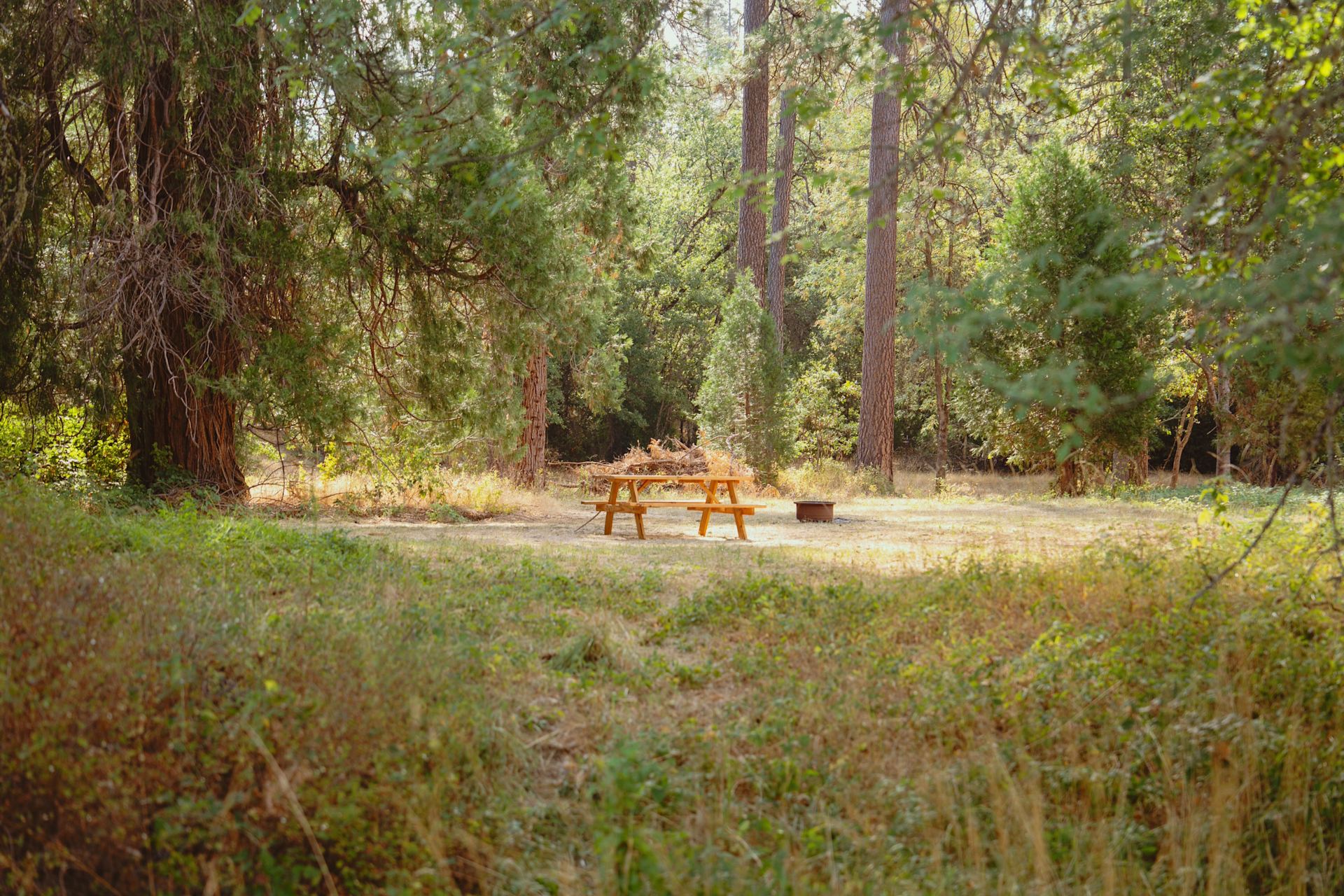 Prefer a little extra shade? The meadow sites are spacious, peaceful, and perfect for keeping cool while still being close to the creek.