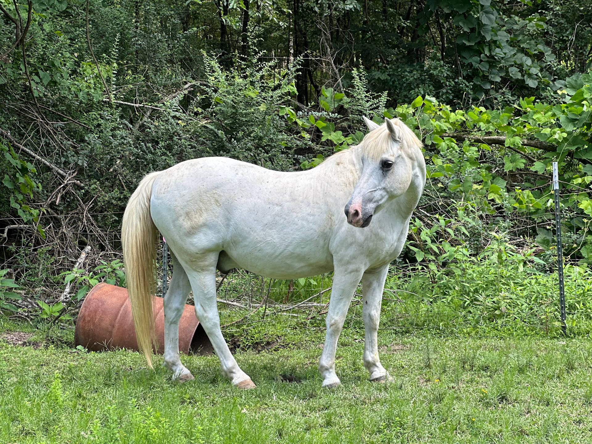 The Ranch