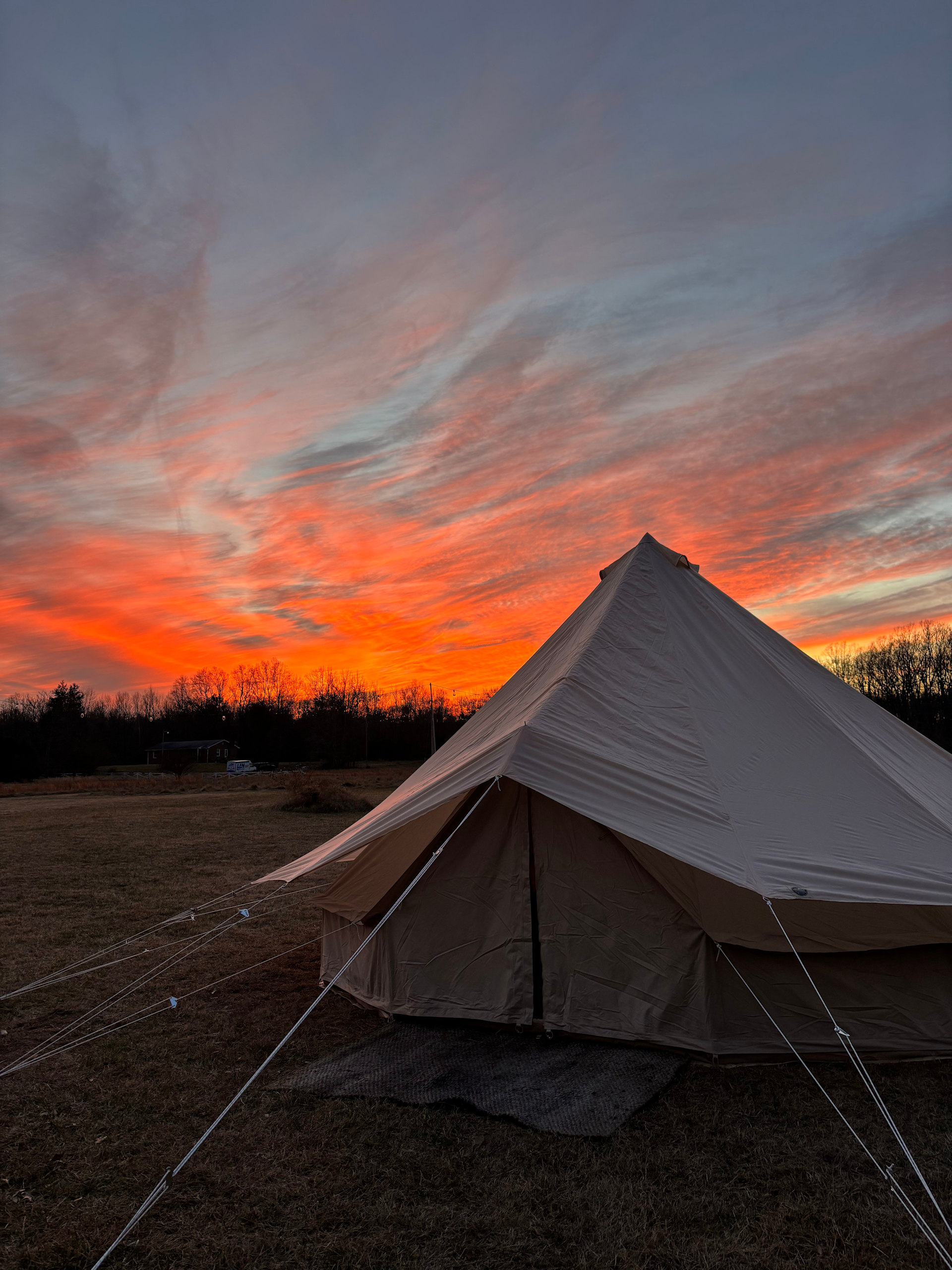 Grasshopper Acres