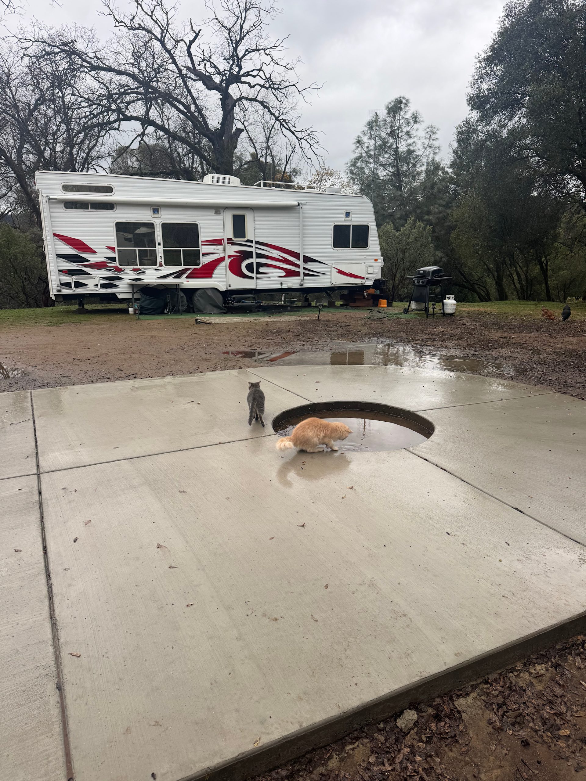 My fiancé & I lived in a trailer at the spot while our home was being built!