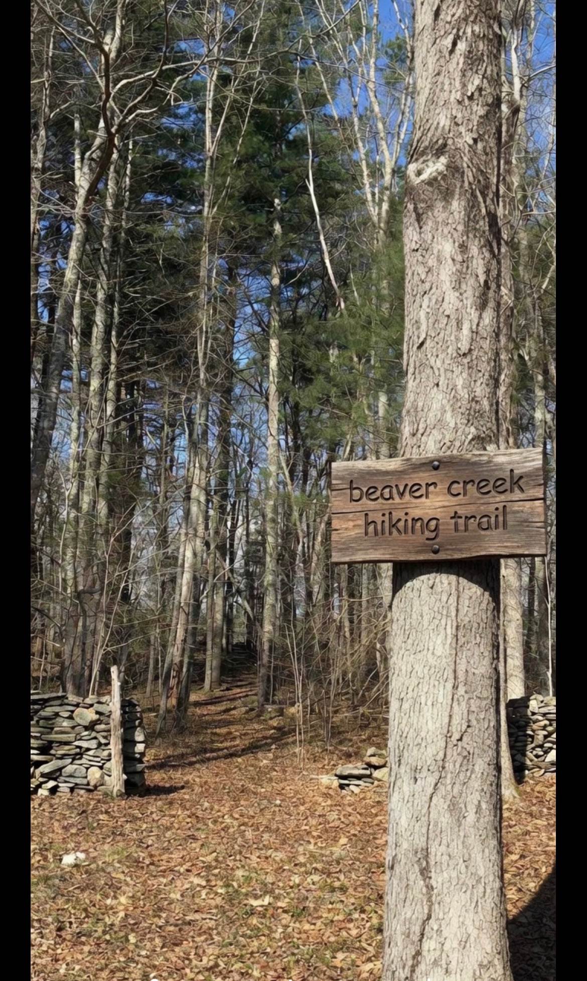 Beaver Creek