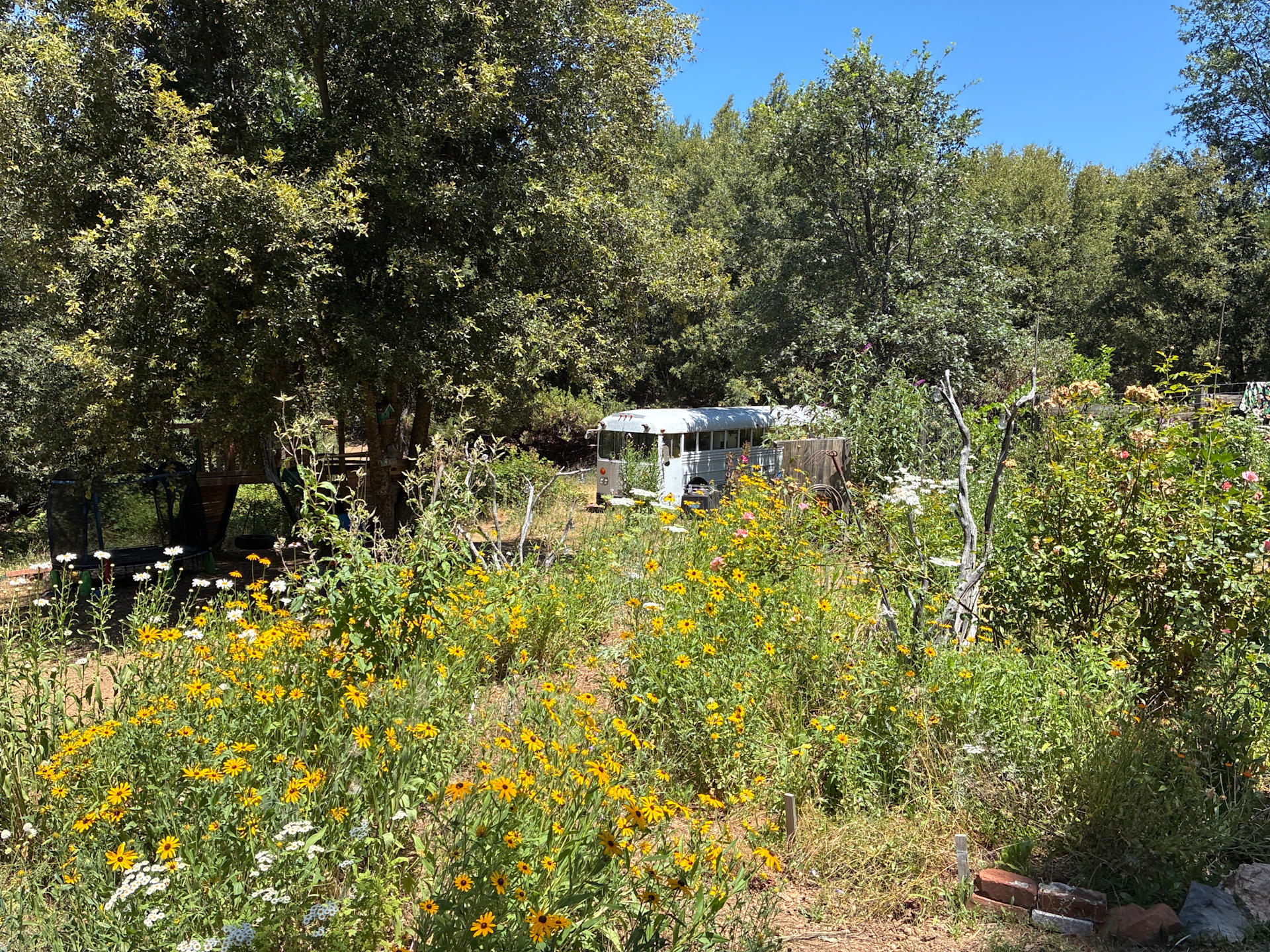 Mighty Farm & Camp 🐕💐🏕️🌅