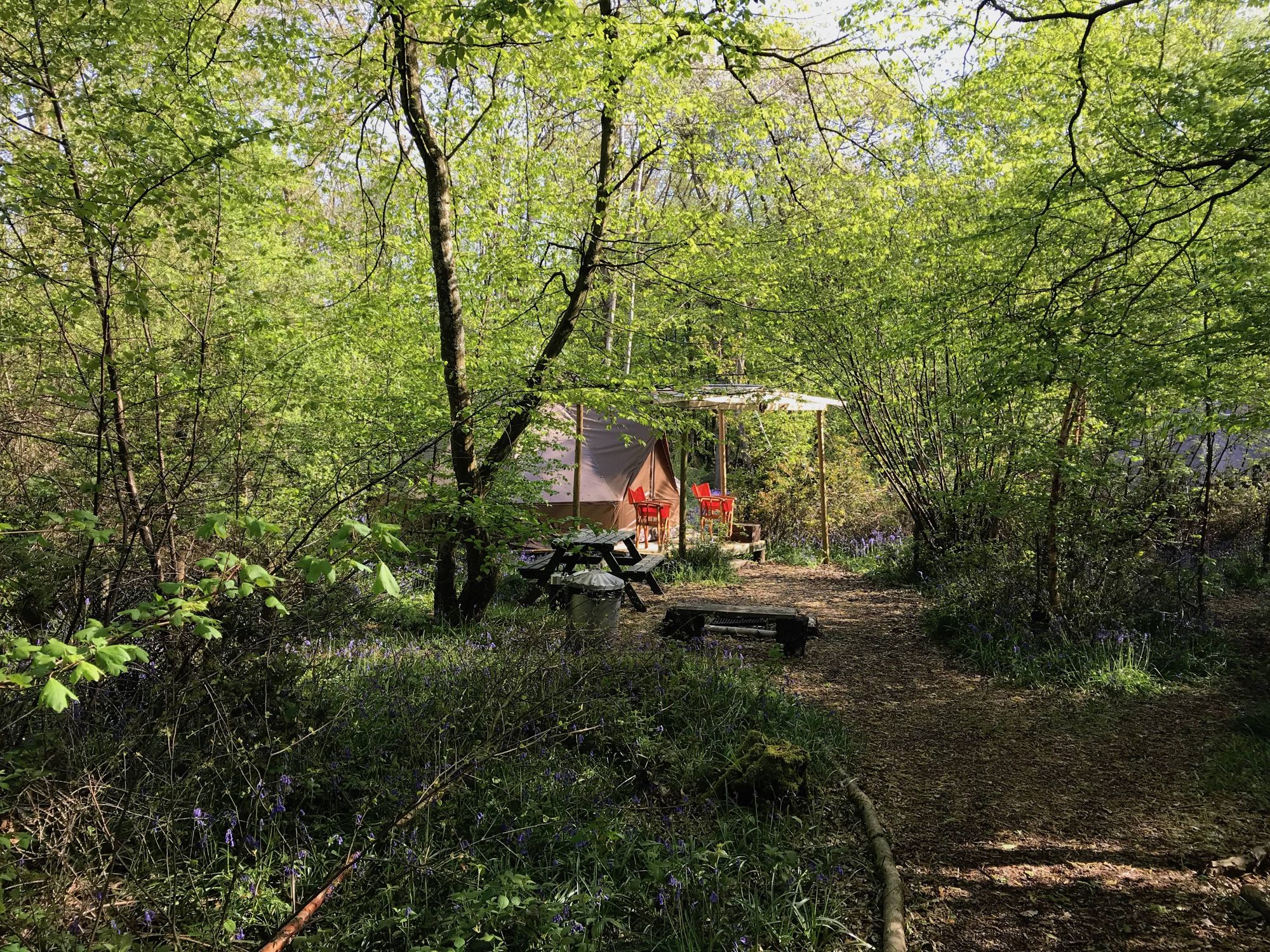 Picture of the site