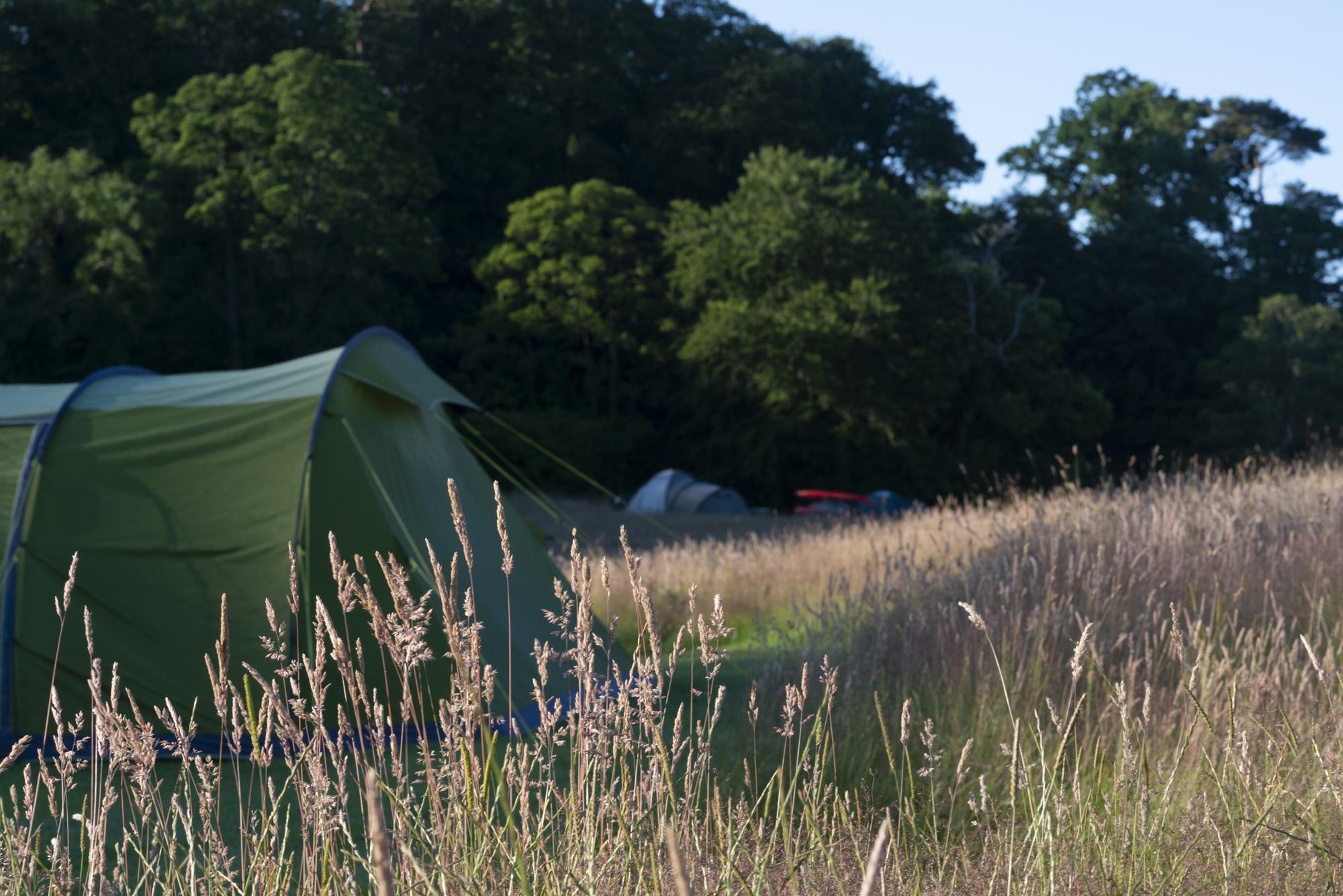 Walkmill Campsite