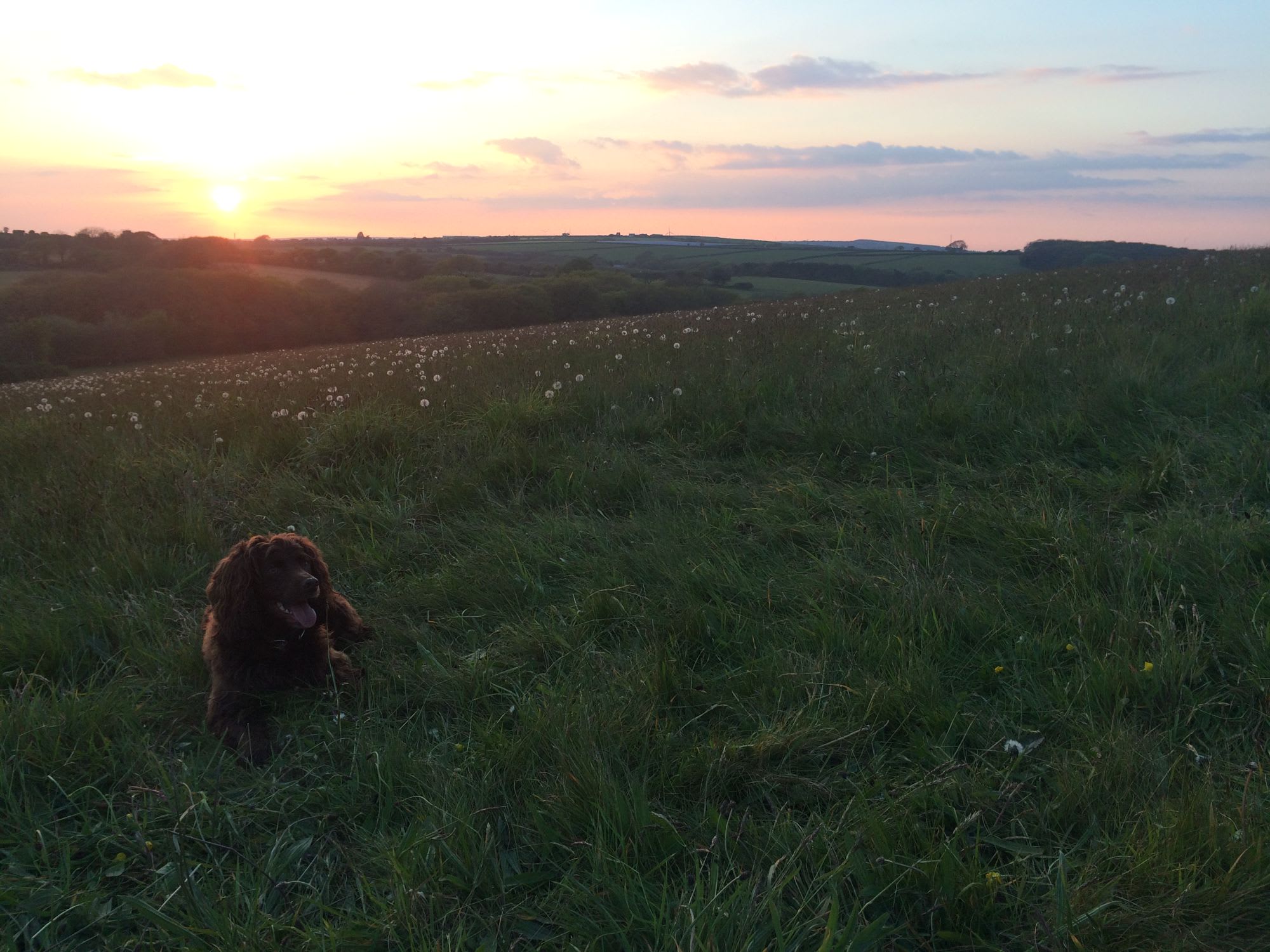 Mena Farm - Wild Camping Meadows