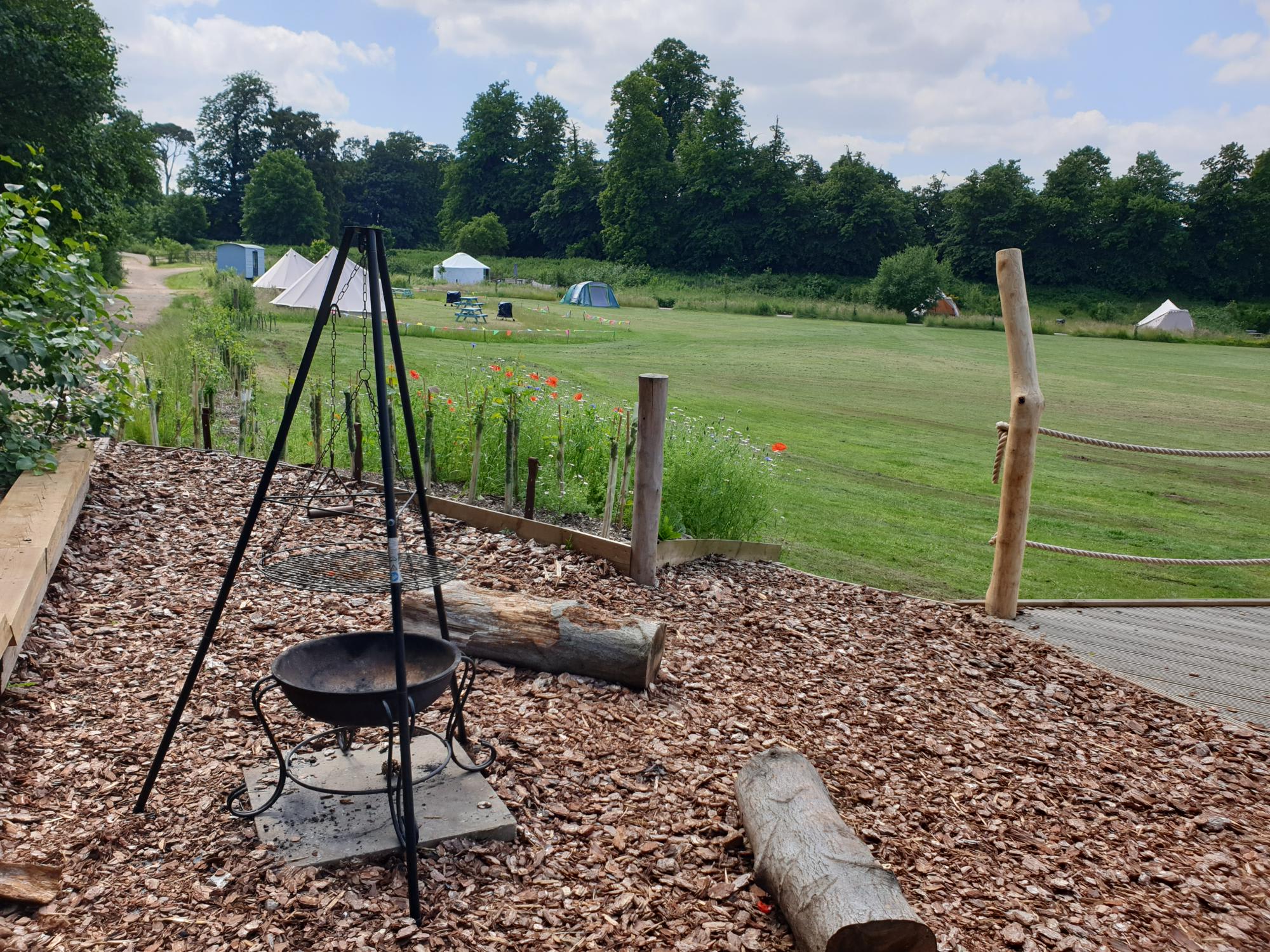 Picture of the site