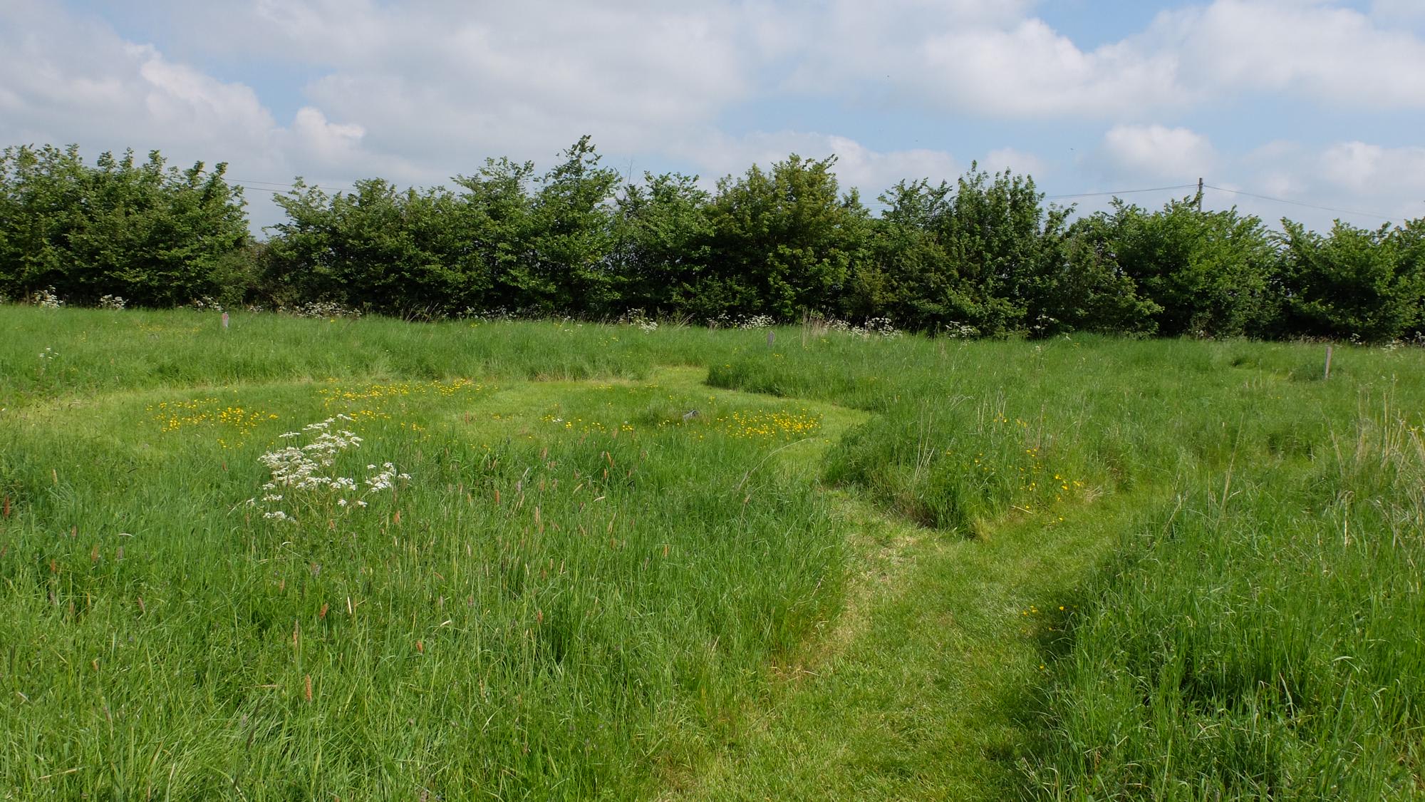 Standard Grass Pitch