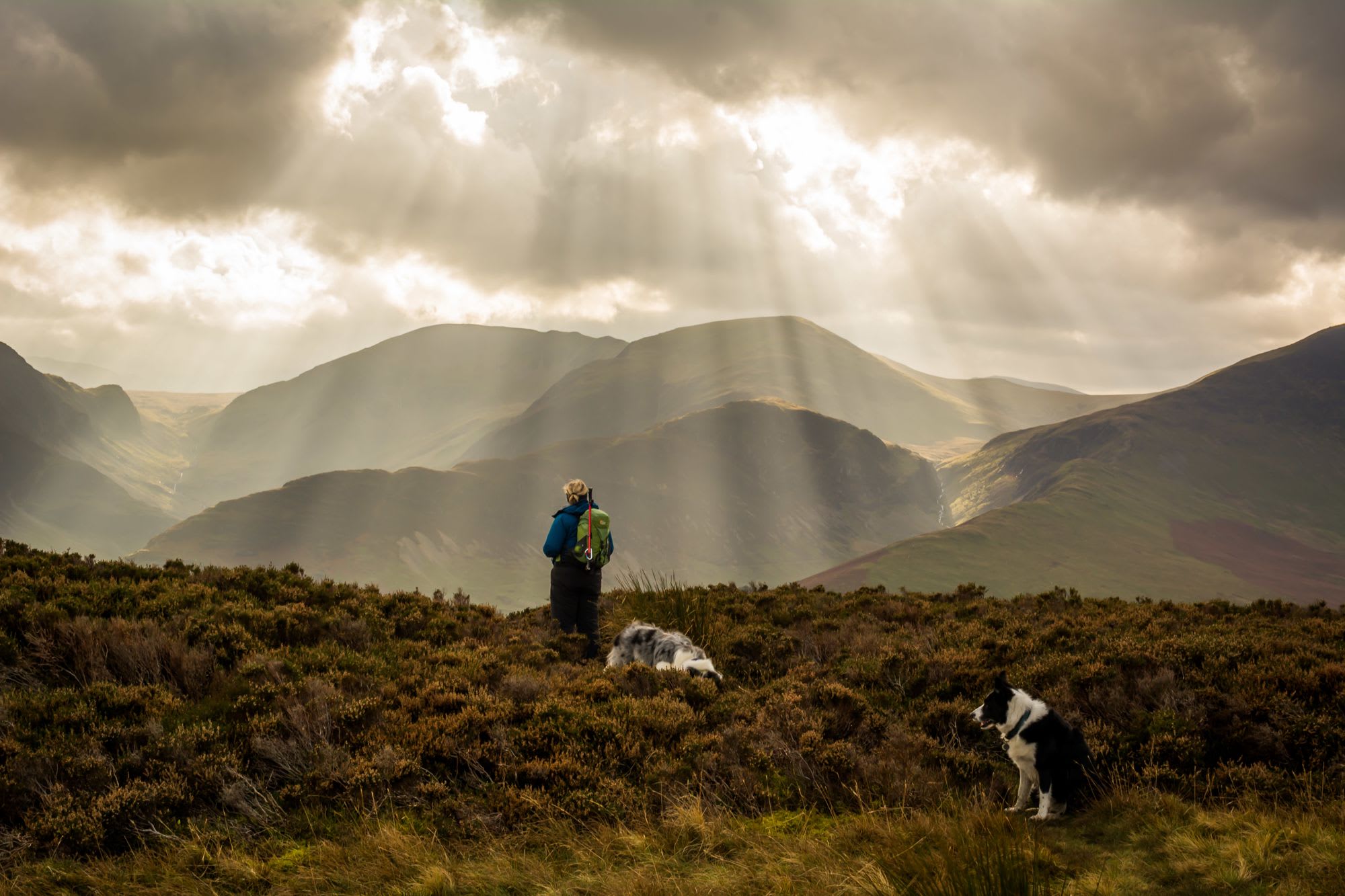 A family-friendly Lake District campsite, nestled between the quiet shores of Bassenthwaite Lake and the beautiful Cumbrian fells.