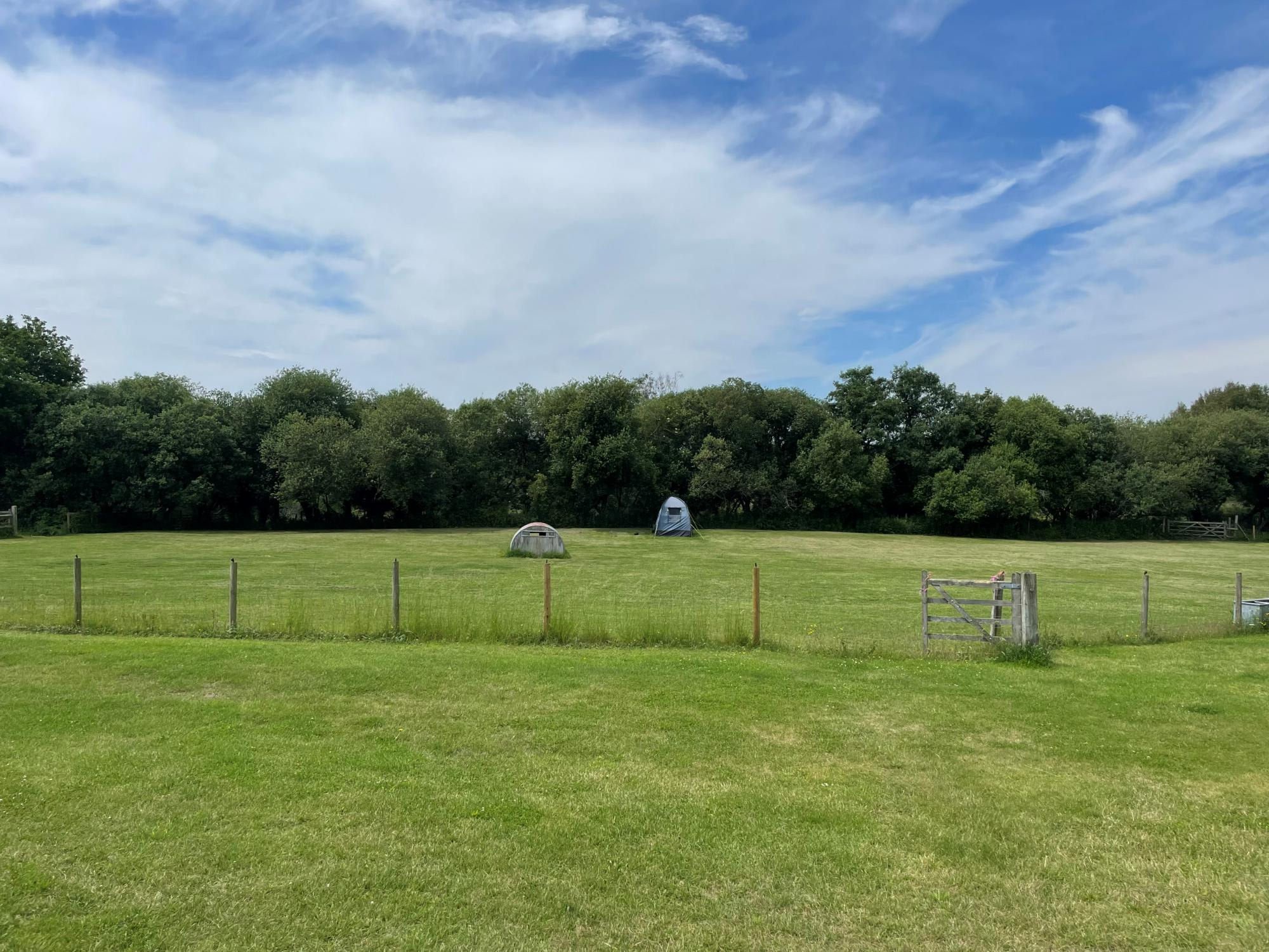 Grass Pitch