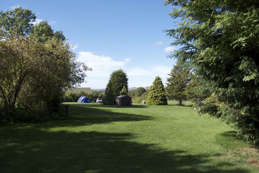 Grass Pitch
