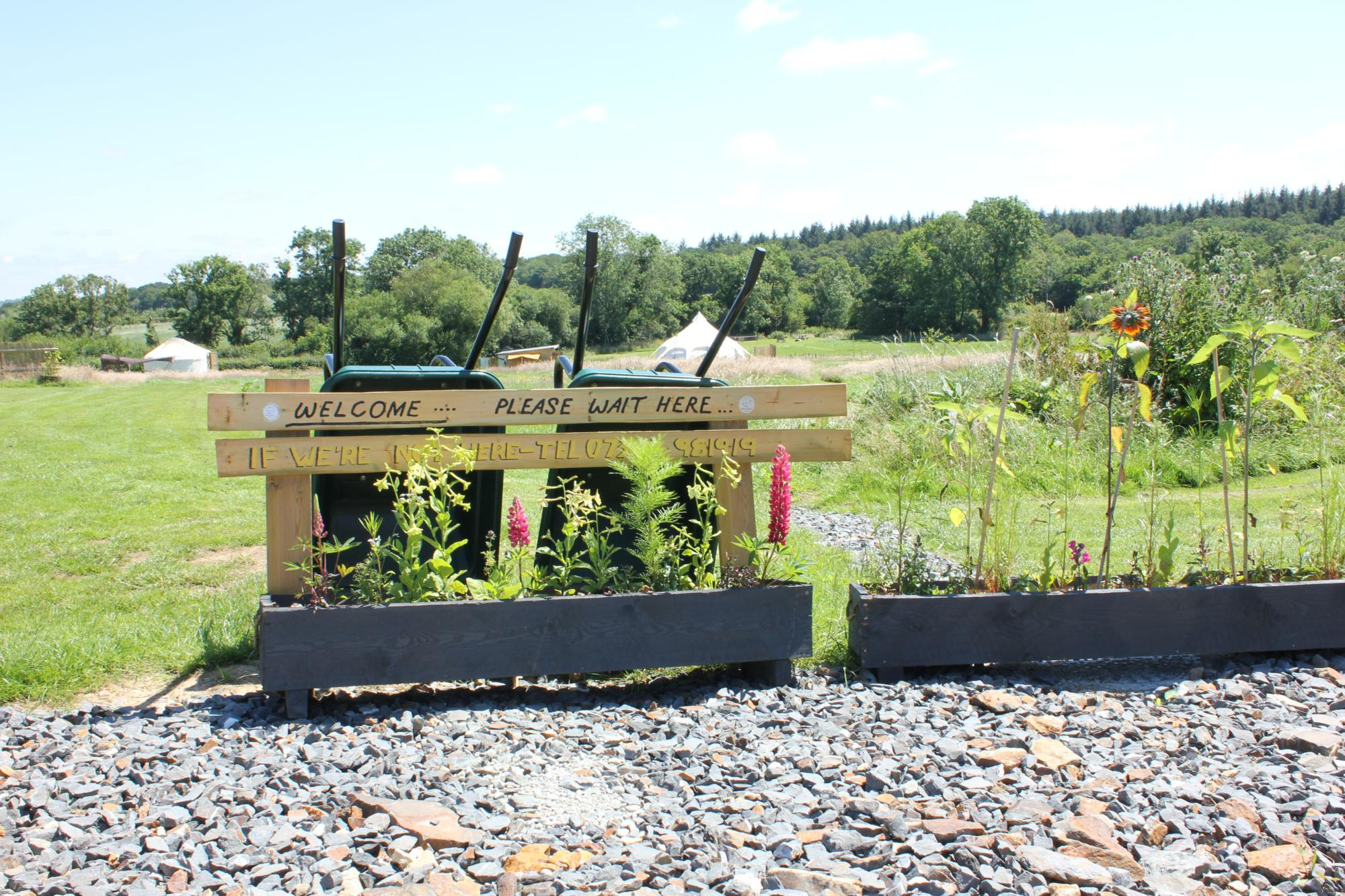 Picture of the site