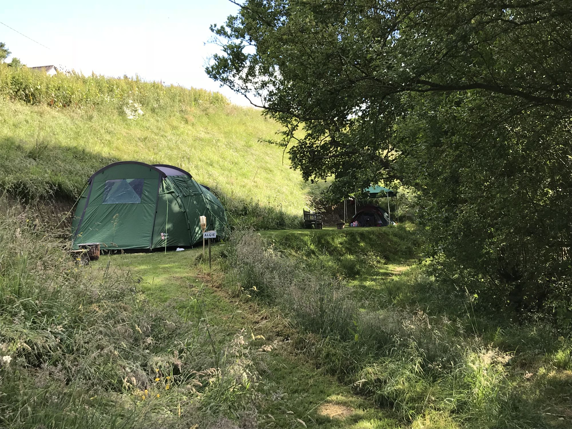 Picture of the site