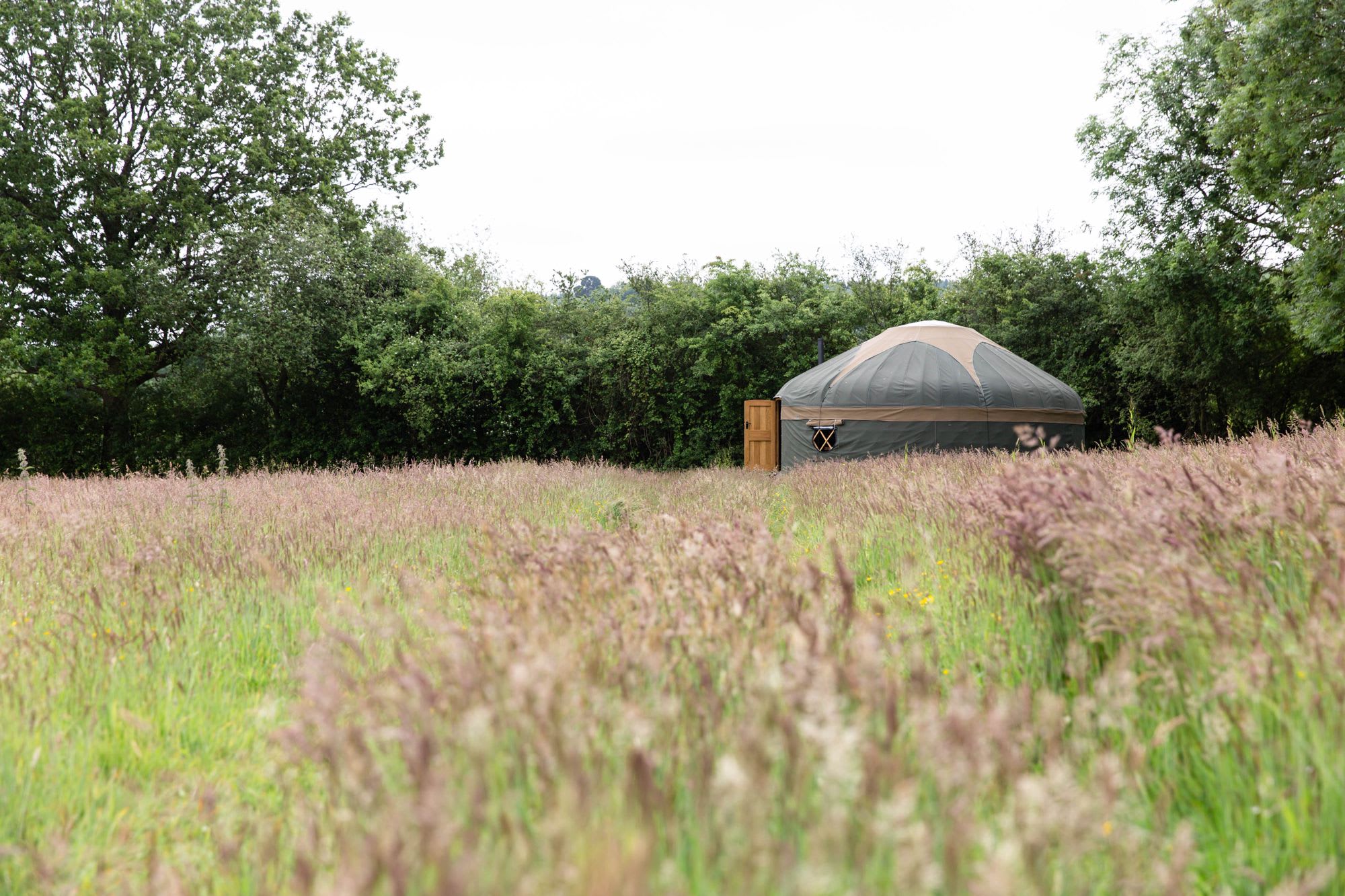 Surrey Hills Yurts