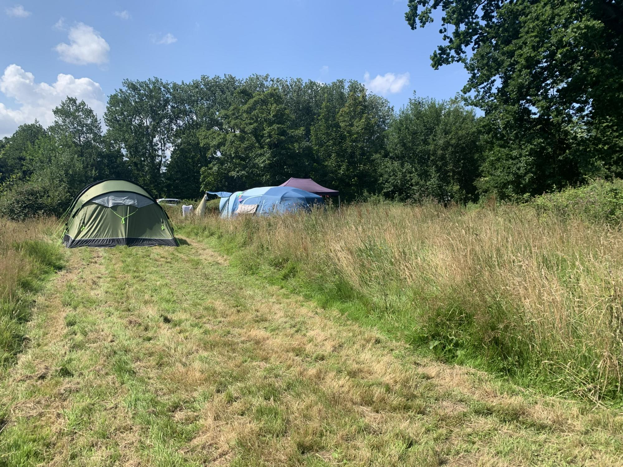 Pitch 1