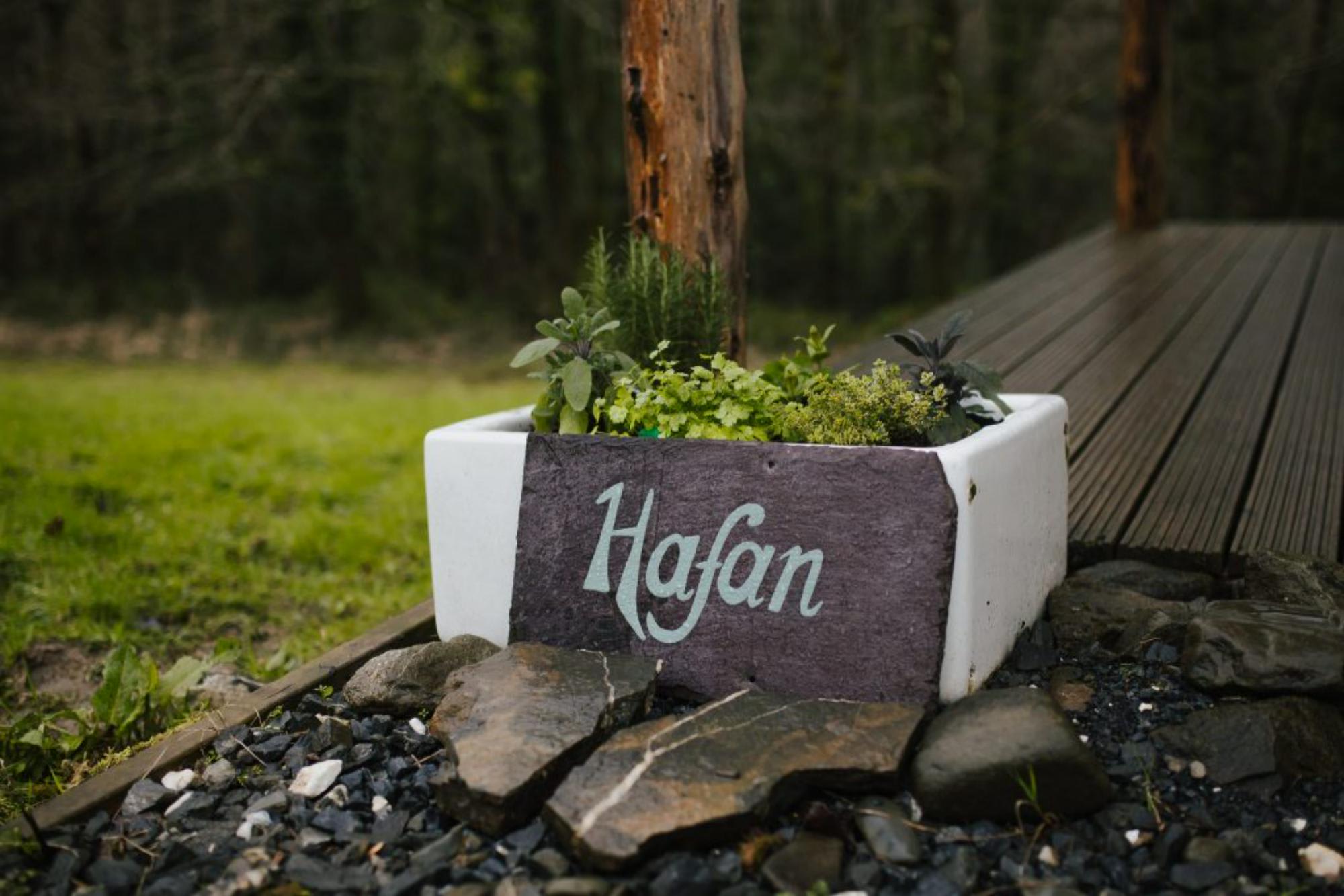 Hafan
