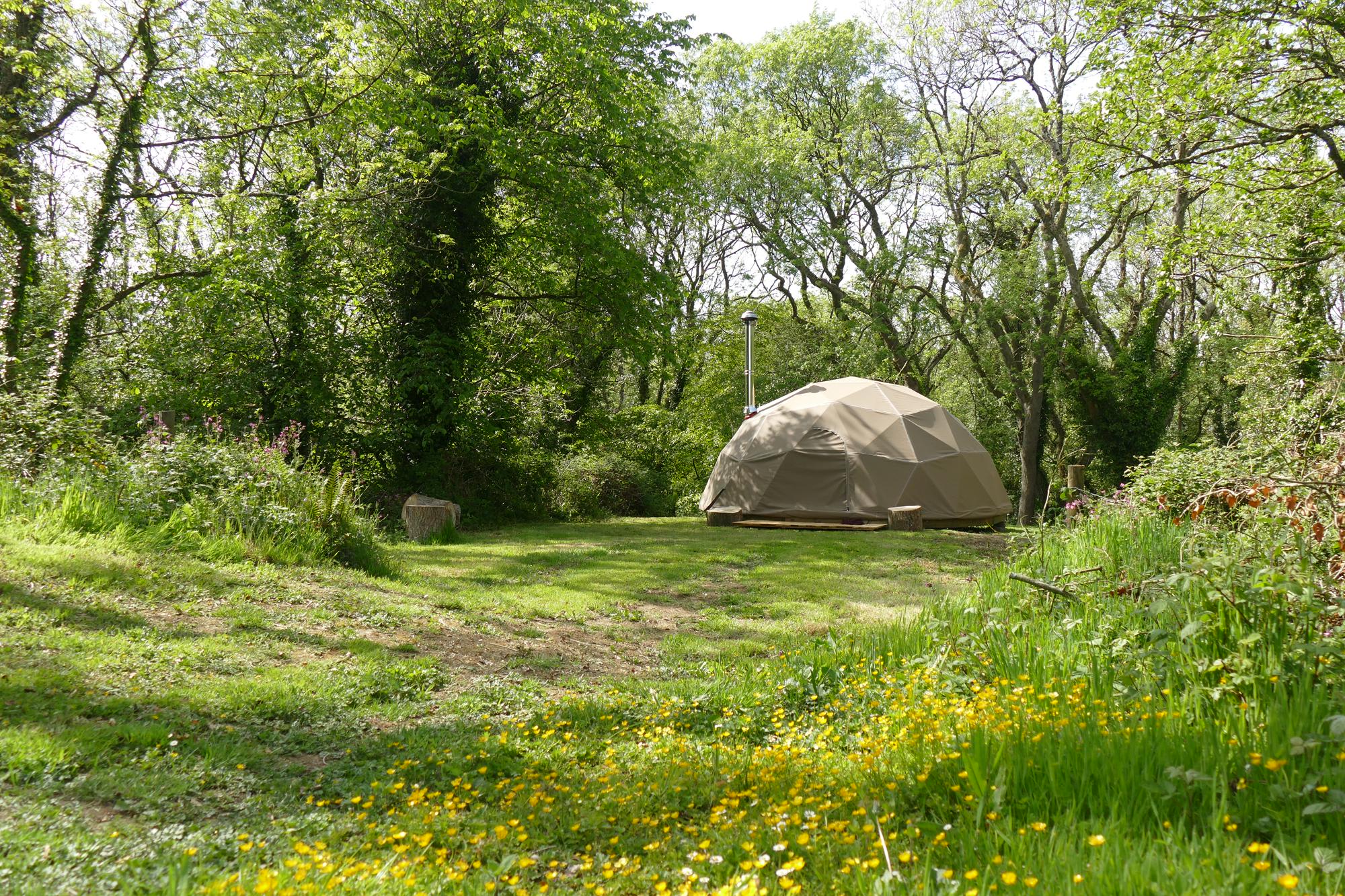 Geodesic Dome