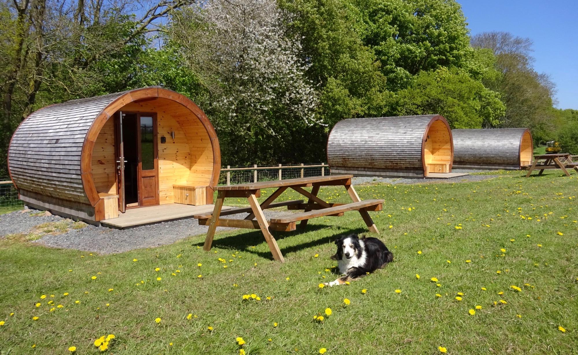 Castle Farm Holidays