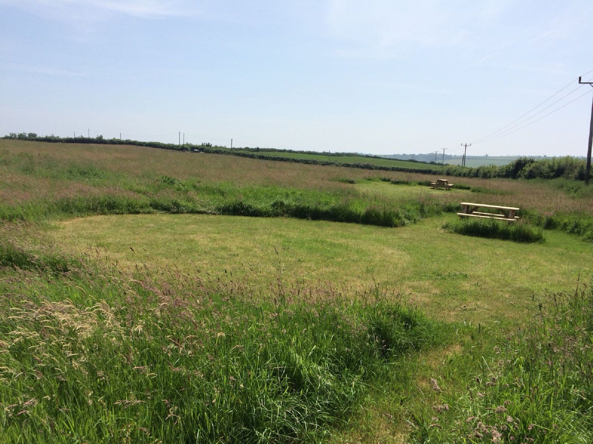 Grass Camping pitch