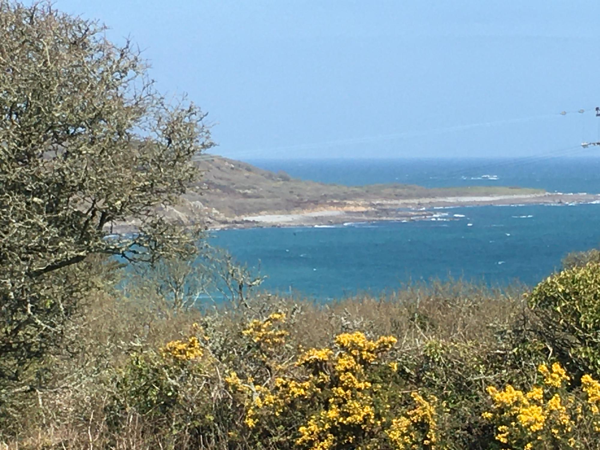 Coverack Camping