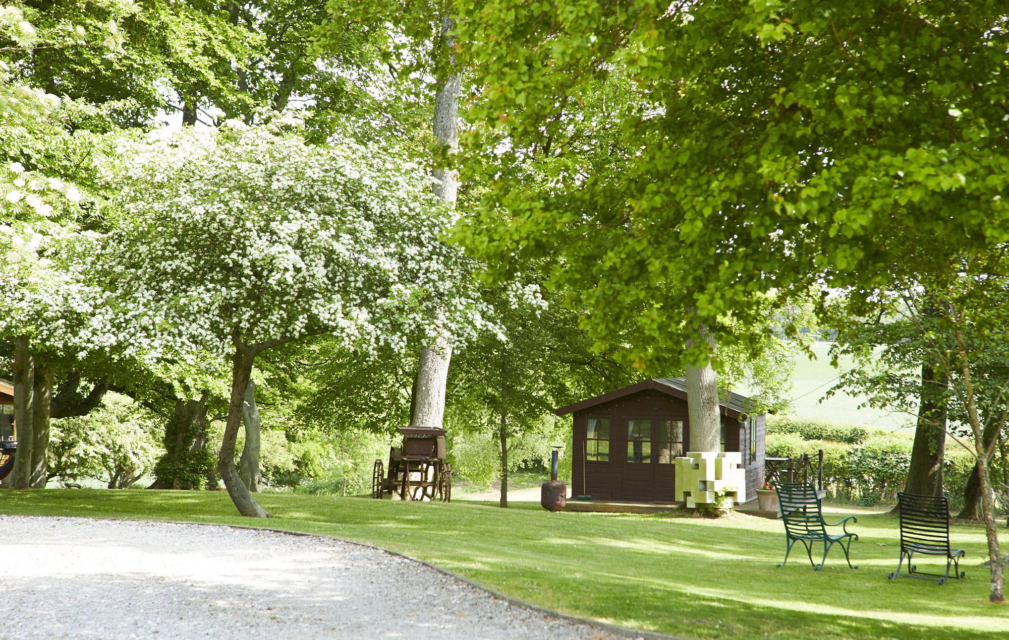 Ash Cabin