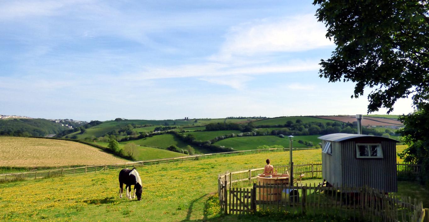Shepherd's Hut with private hot tub