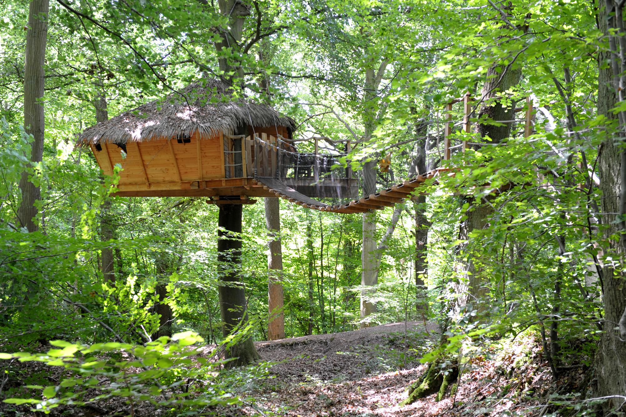 "Canyon" Family Tree House
