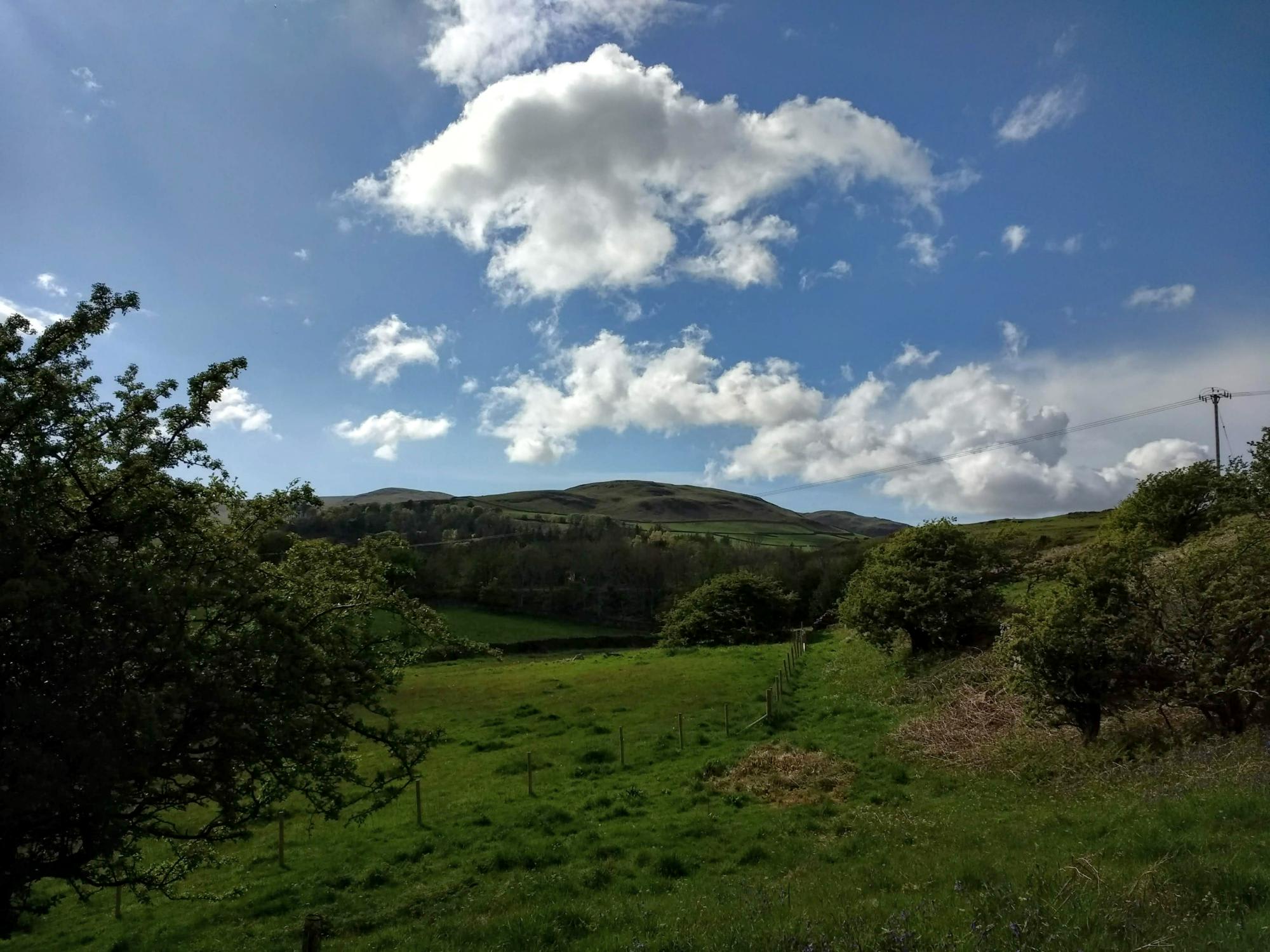 Bluebell Pitch, Black Combe 
