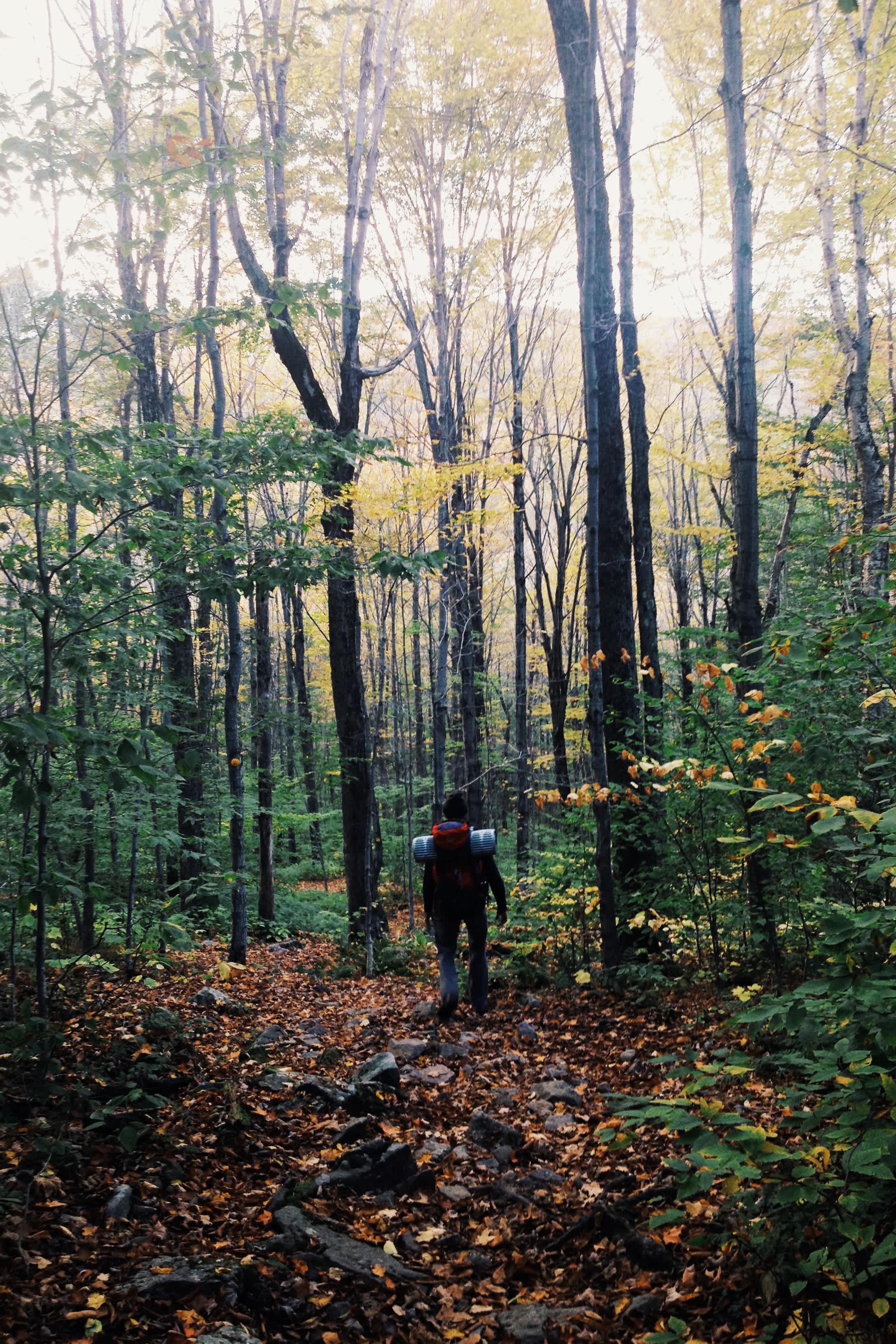 The descent from Slide Mountain during peak fall foliage