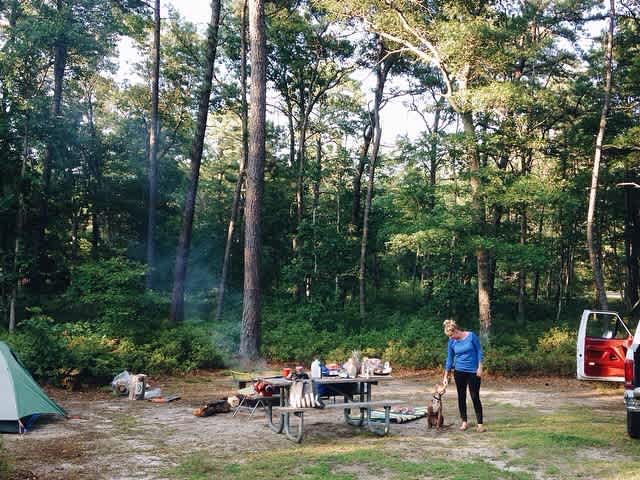 My husband, pitbull pup and I stumbled upon Bass River State Forest last year and have already made it an annual must! The sites are both beautiful and quiet and you're only steps to hiking and the water. 