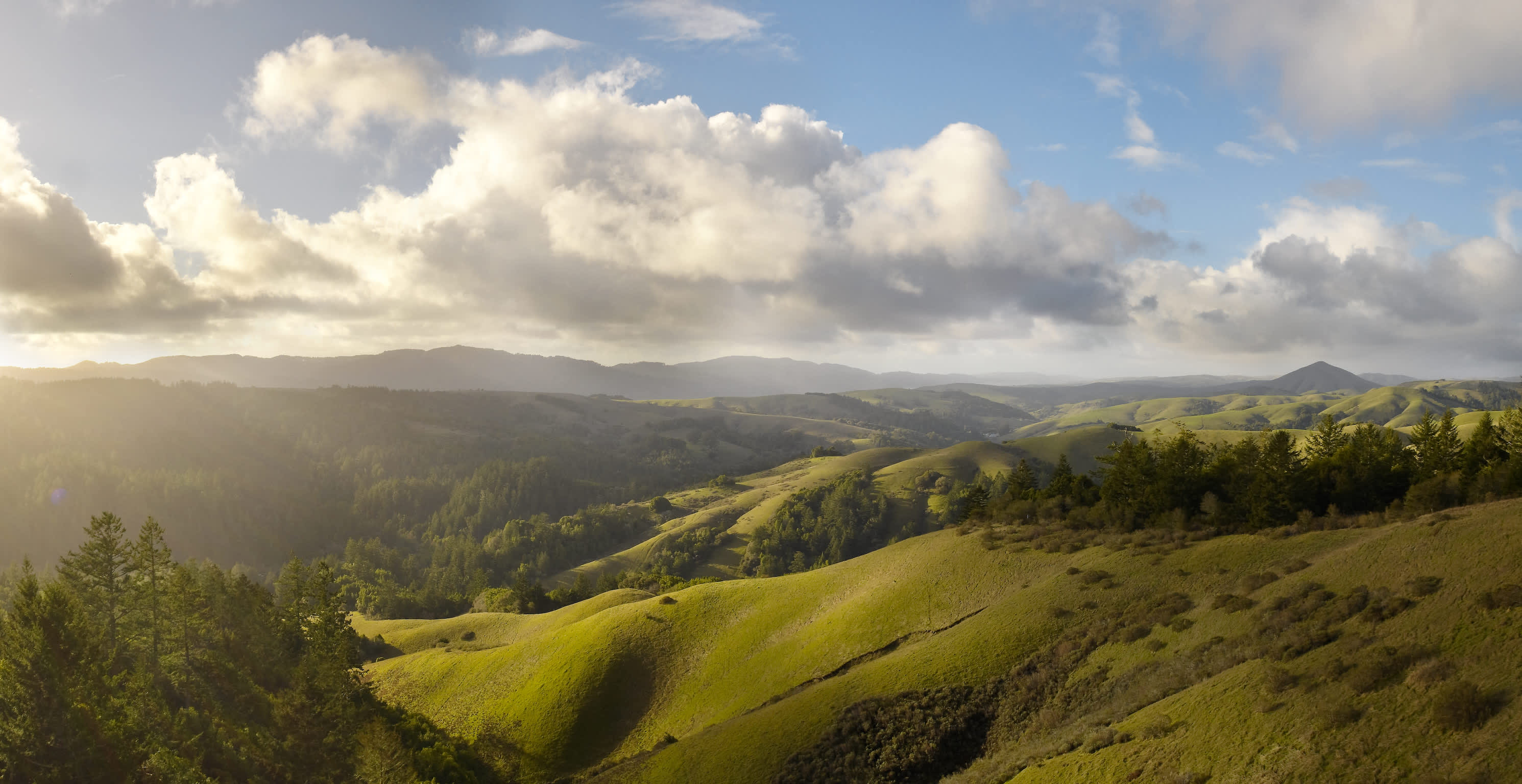Madrone Group Camping