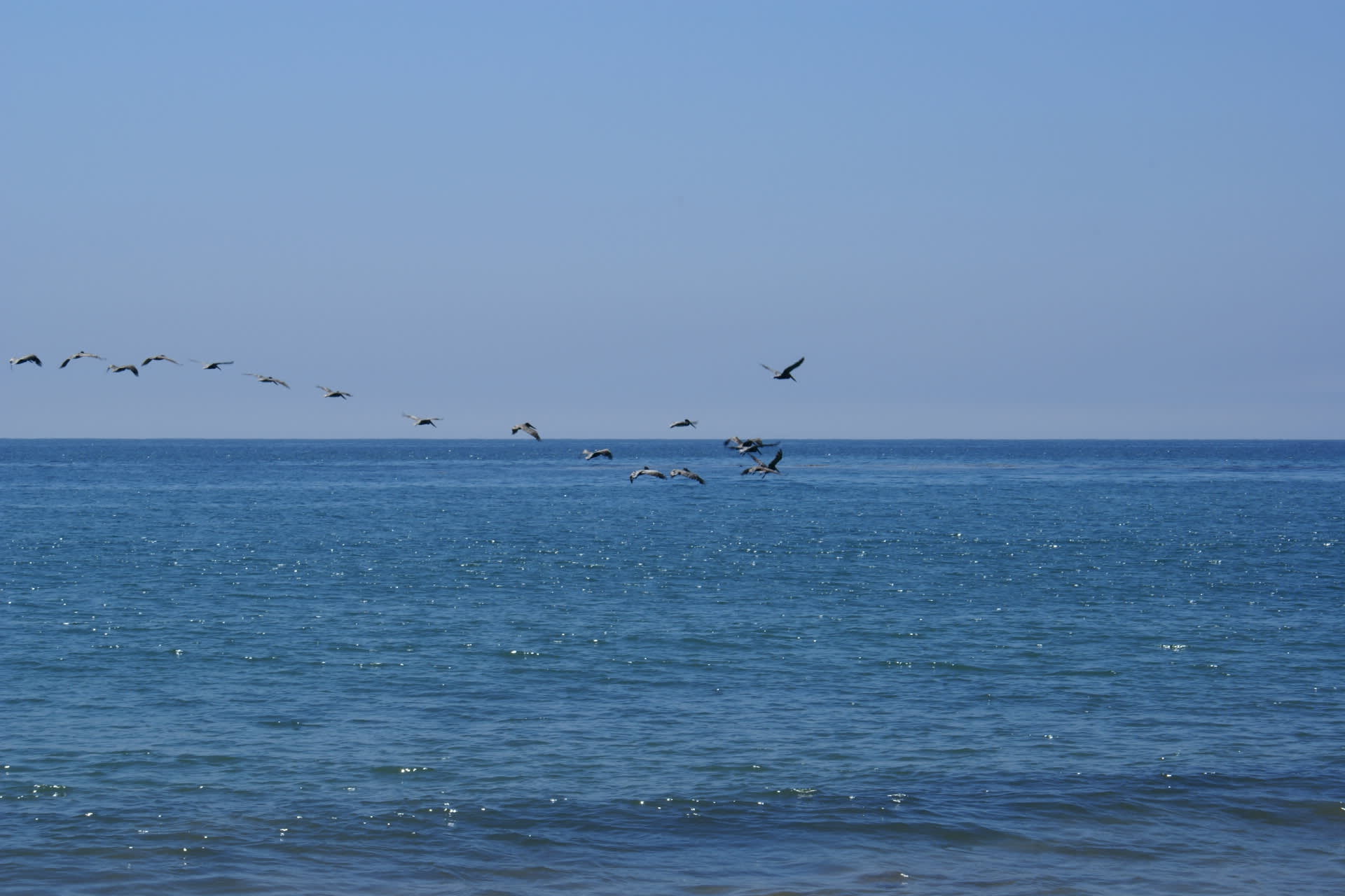Refugio State Beach