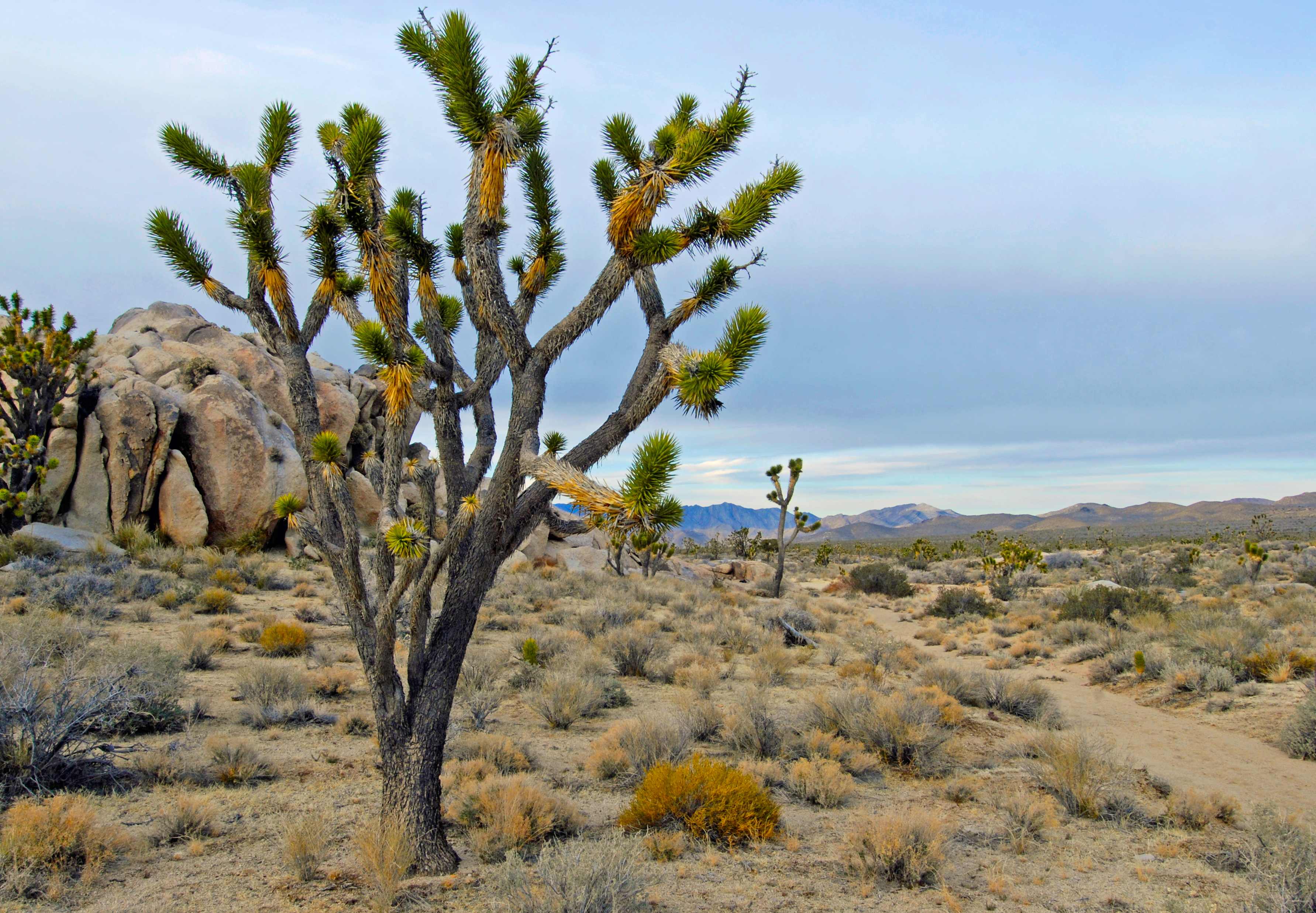 Black Canyon Campground