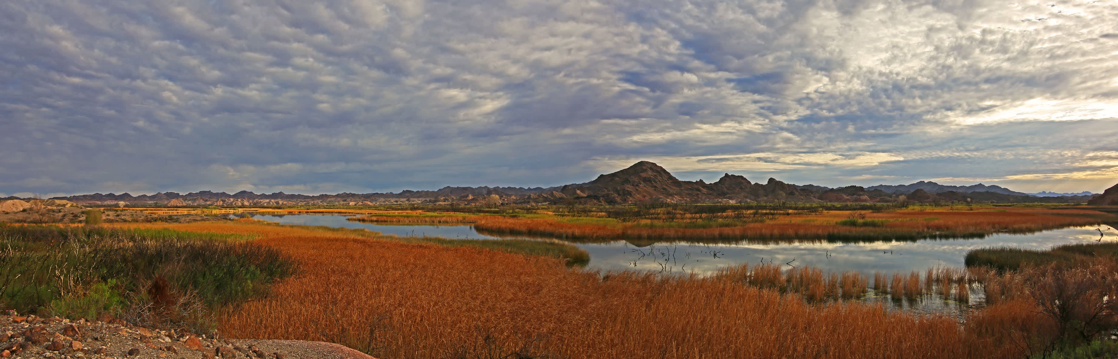 Taylor Lake Campground