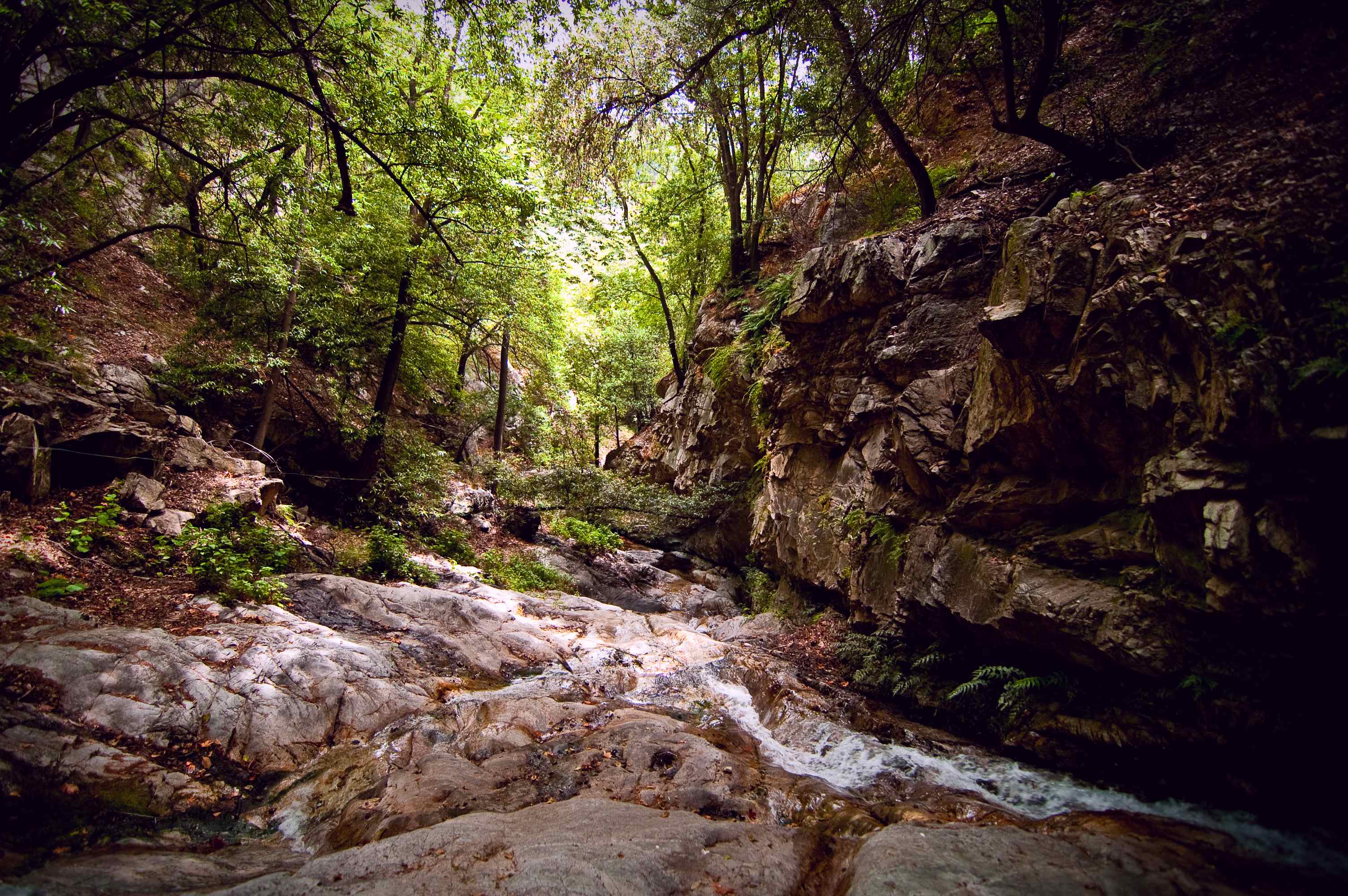 Oak Flat Campground