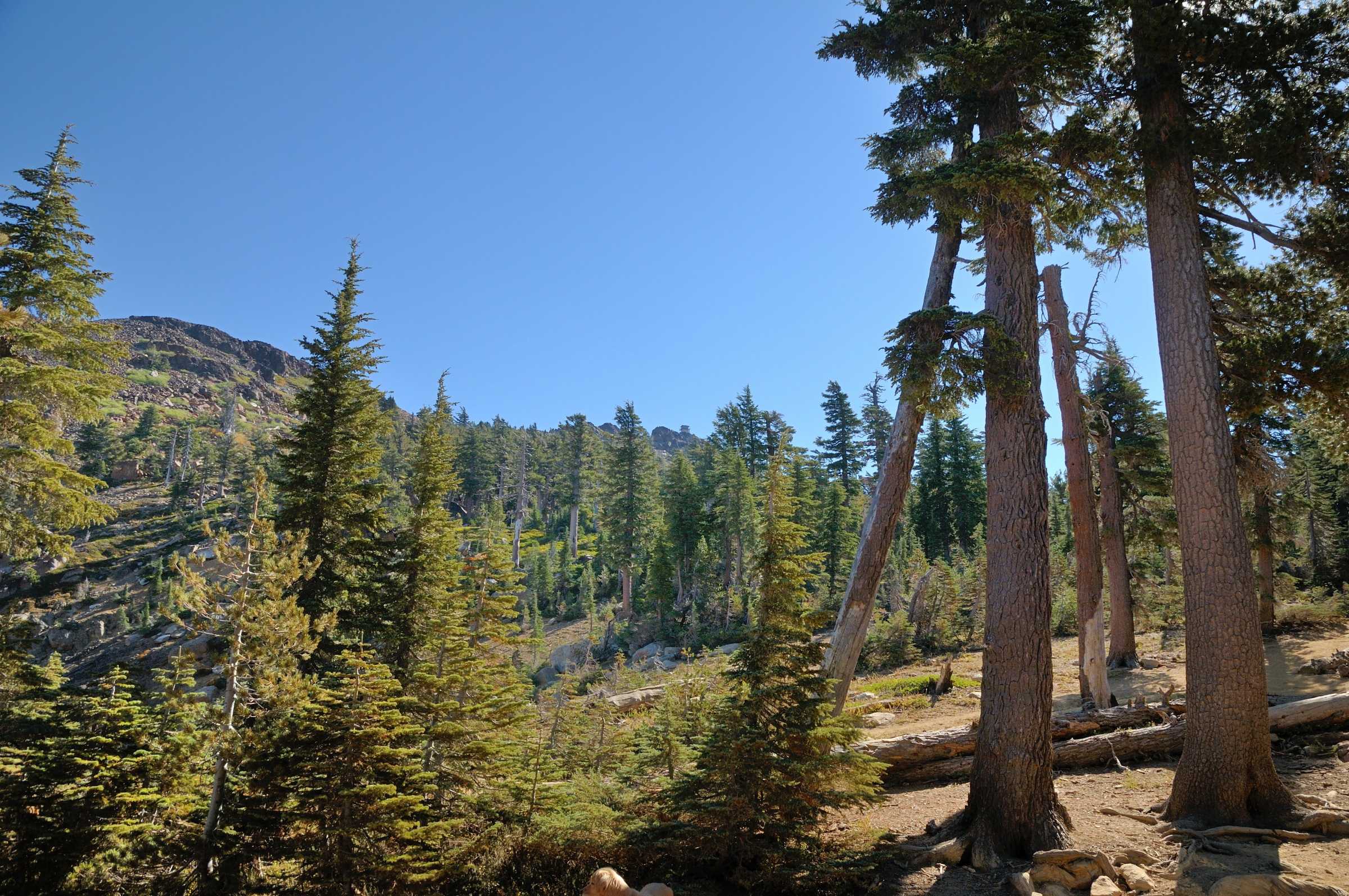Giant Gap Campground