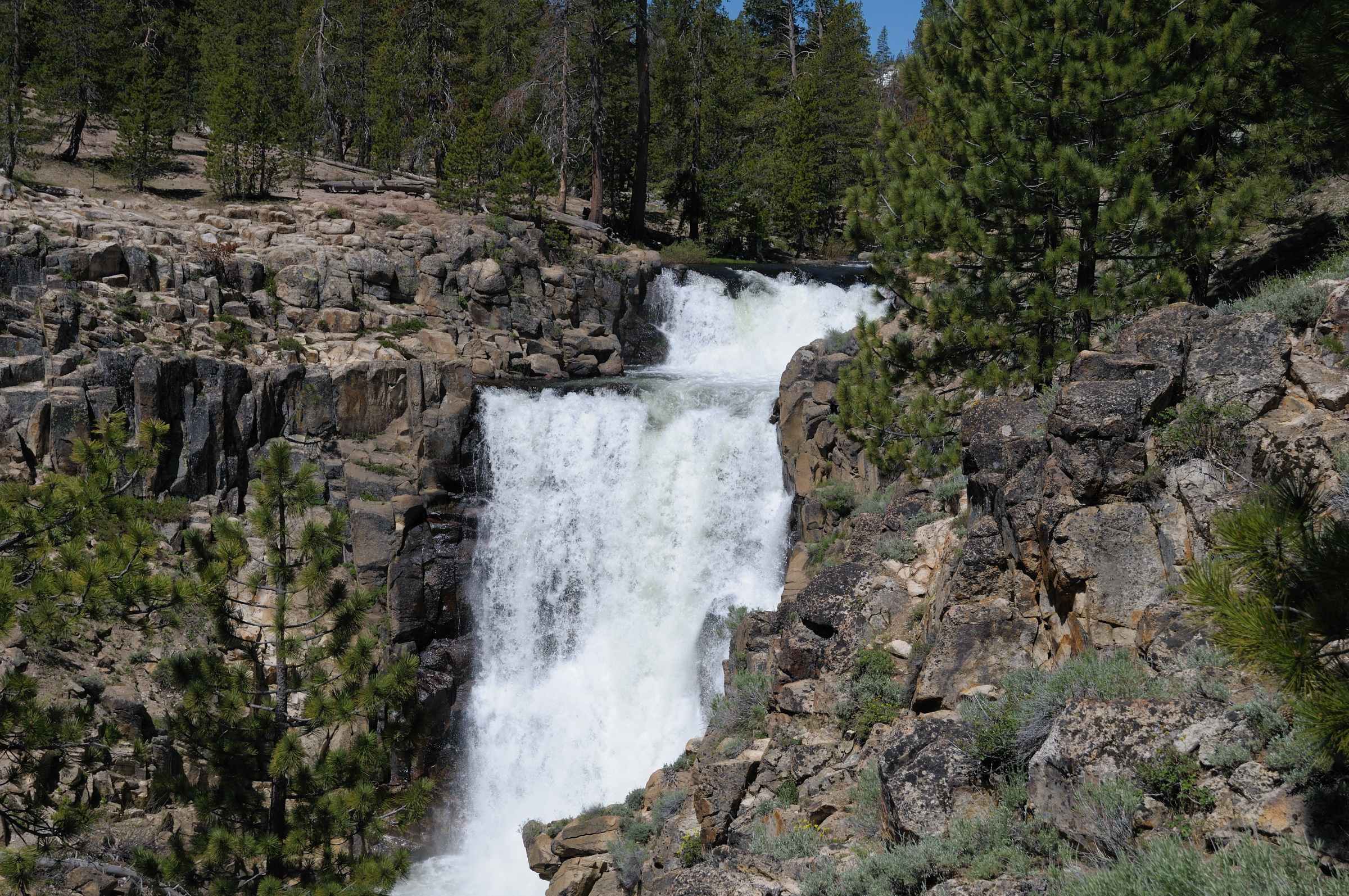 Yuba Pass Campground