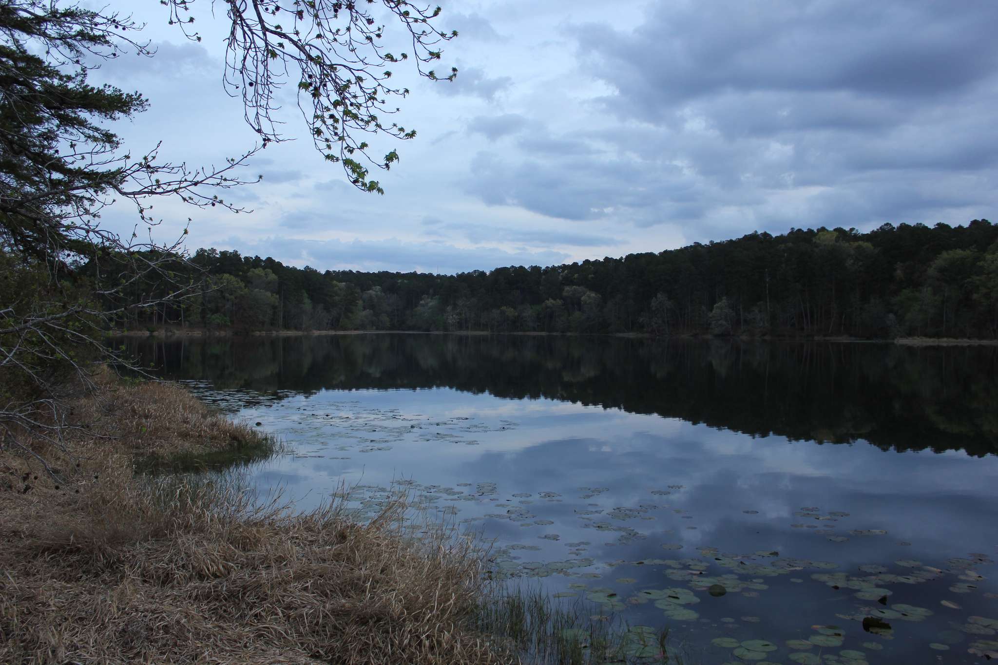 Dogwood Campground