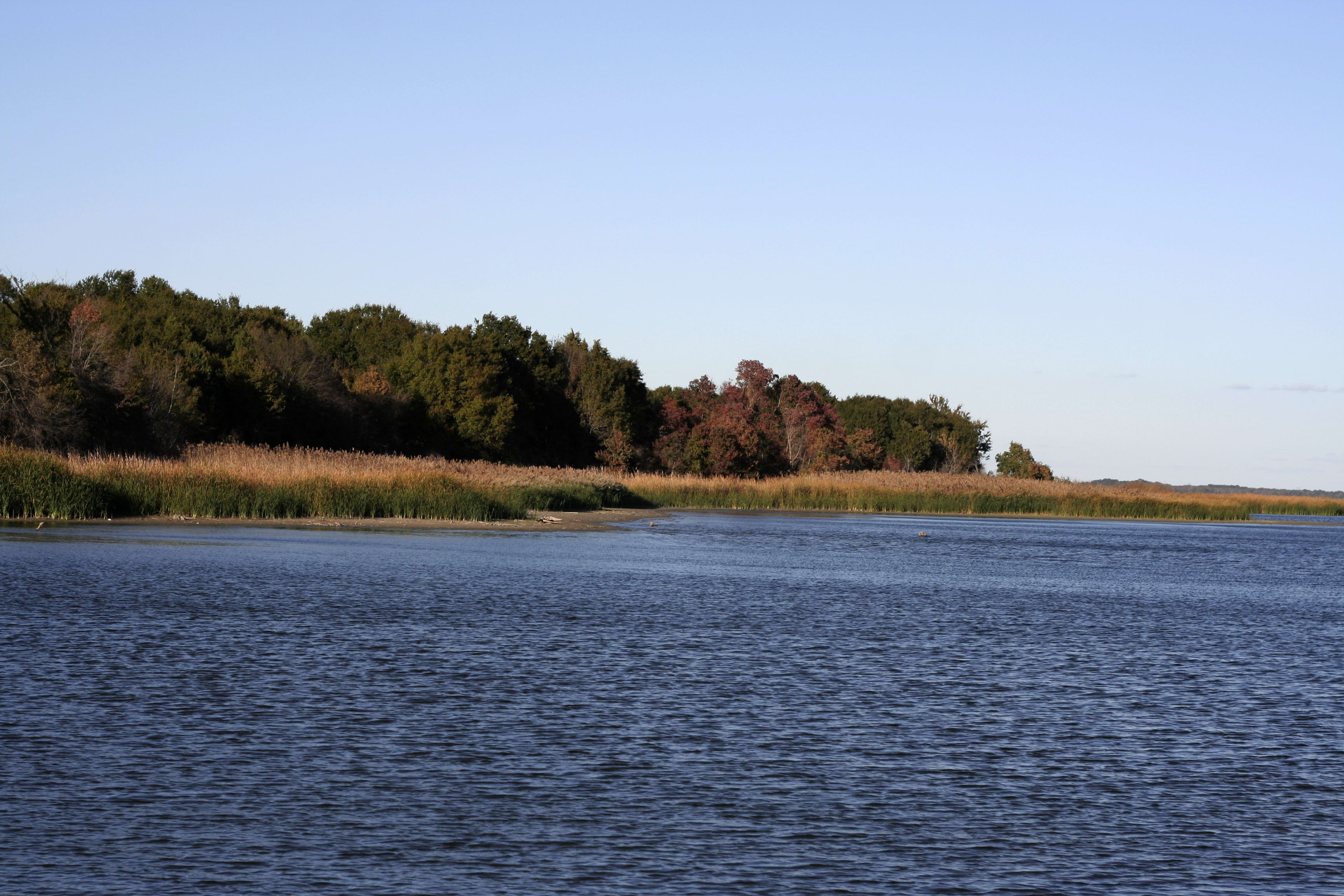 Cooks Ferry Campground