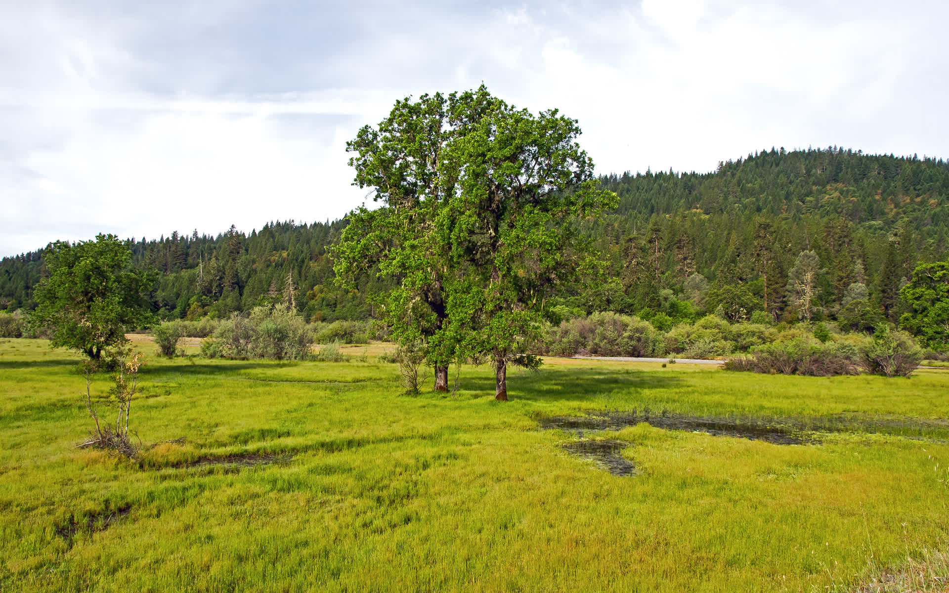 Middle Creek Campground