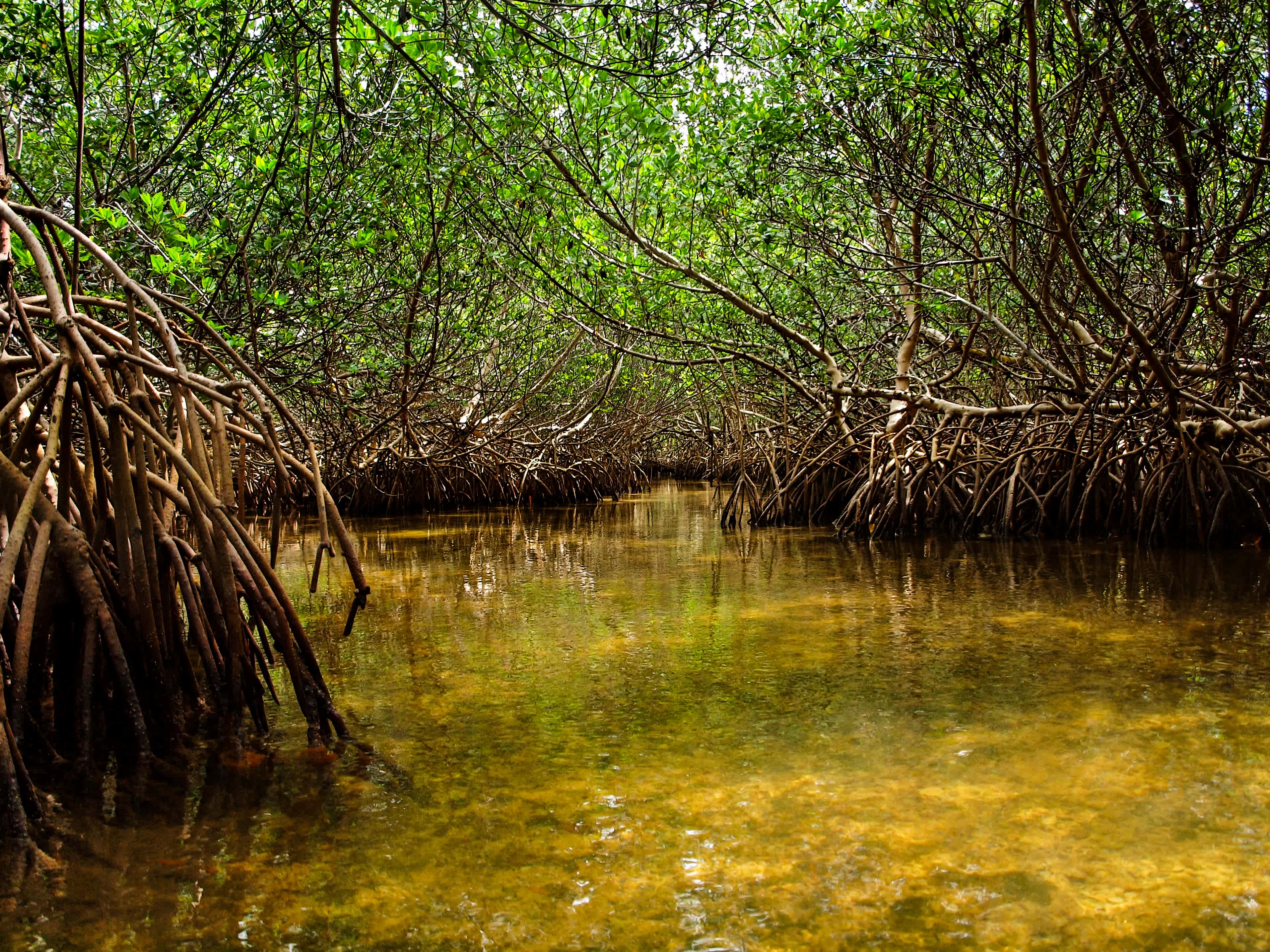 Curry Hammock State Park Campground