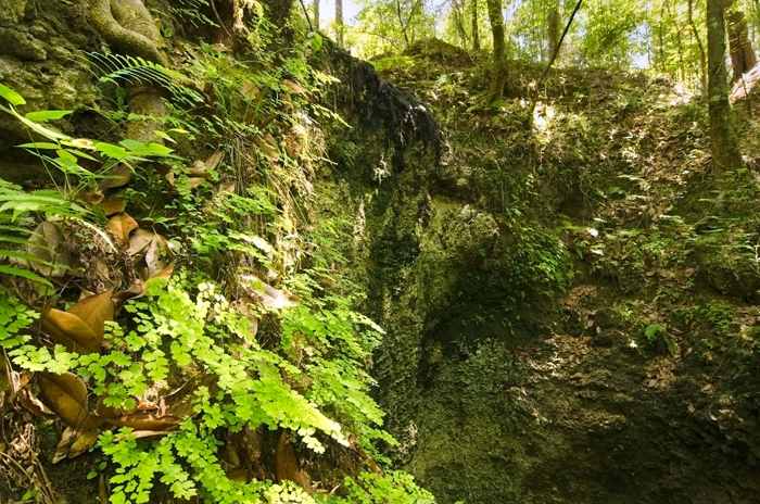Falling Waters State Park Campground