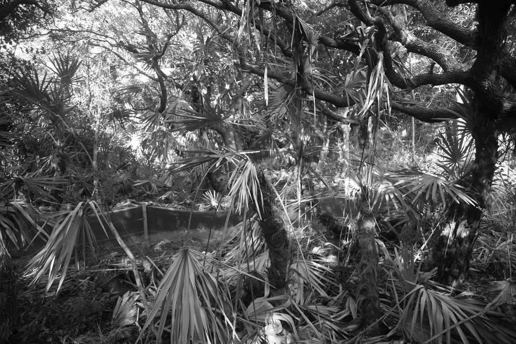 Gamble Rogers Campground
