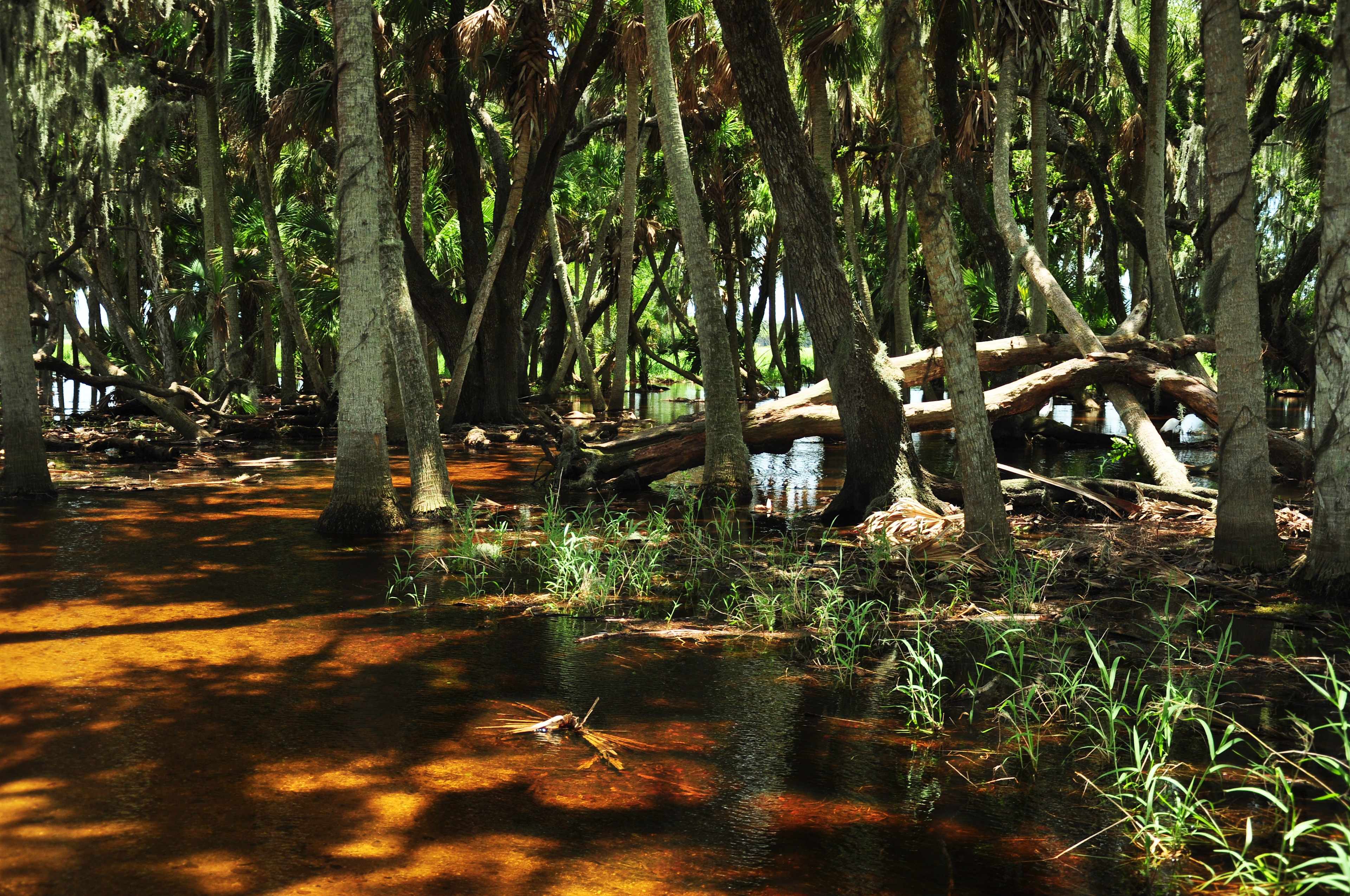 Palmetto Ridge Campground