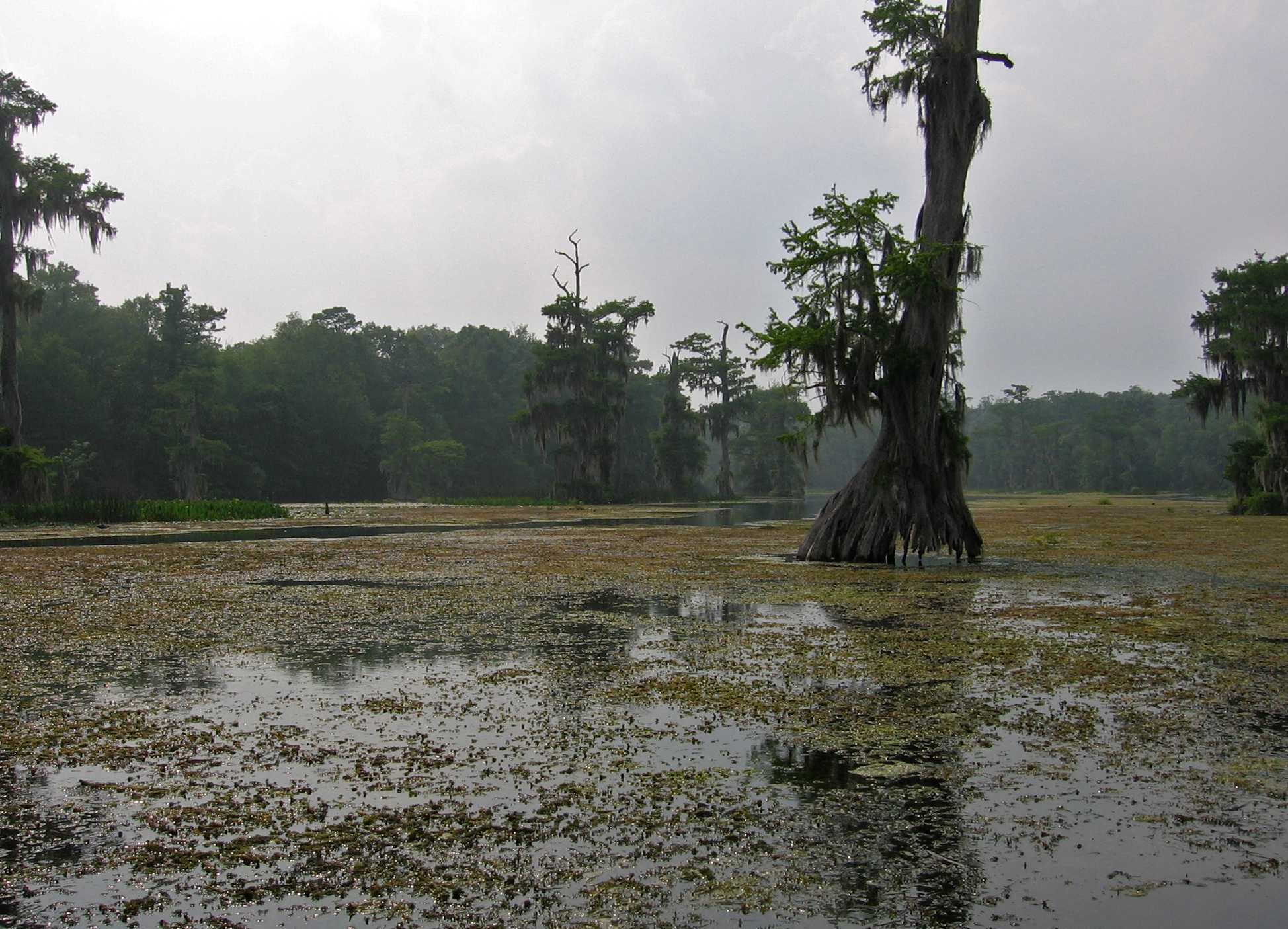 Cotton Landing Primitive Campground