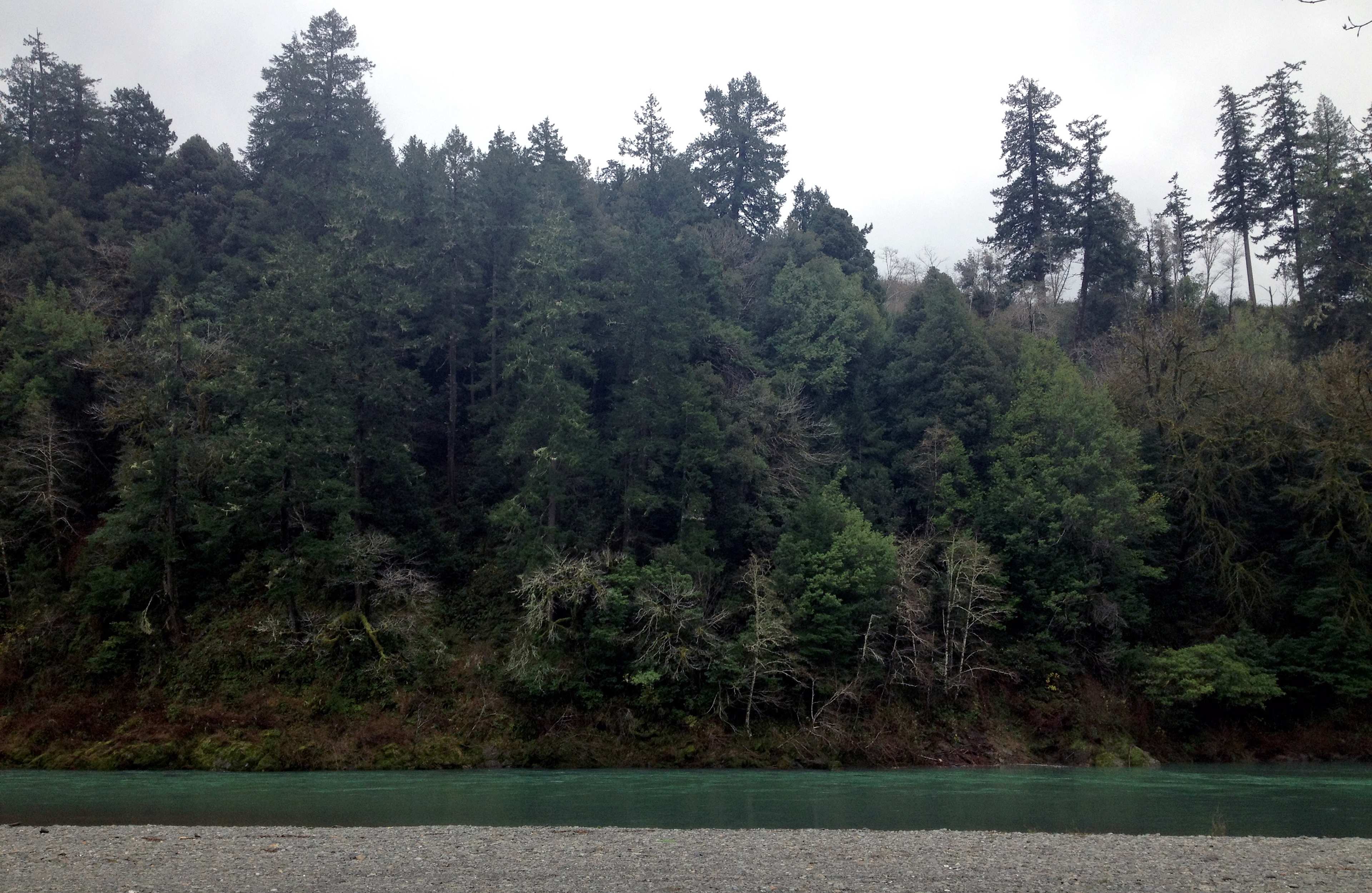 Alfred A. Loeb Campground